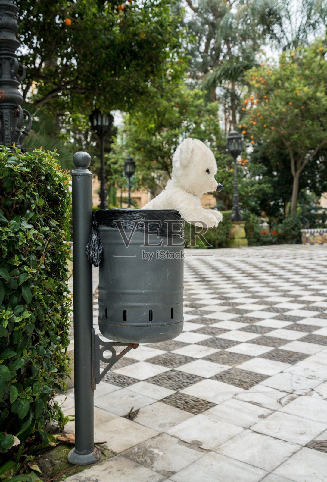 西班牙南部加的斯，垃圾桶里的白色泰迪熊照片摄影图片