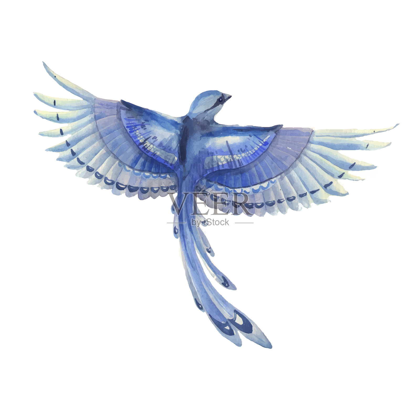 蓝松鸦在飞翔。水彩手绘插图。蓝色羽毛可爱的鸟性格。插画图片素材