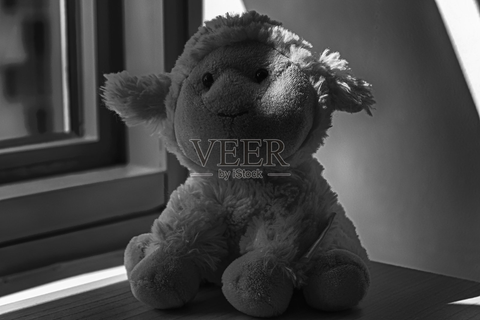 黑白羔羊玩具坐在窗前的阴影照片摄影图片