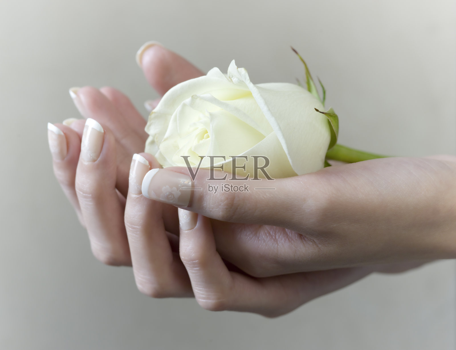 女性手中握着一朵白玫瑰照片摄影图片