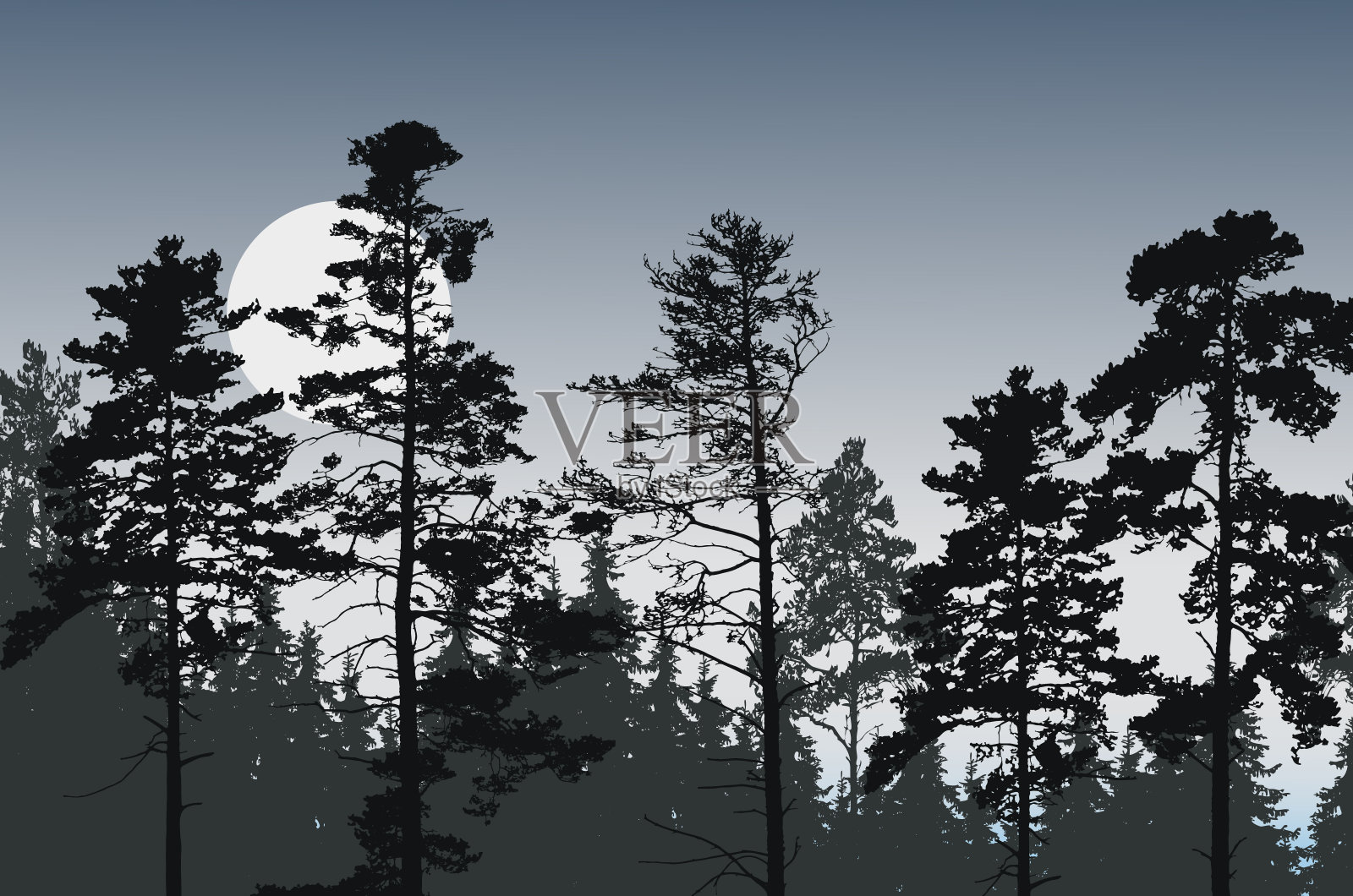 在满月或太阳矢量的夜空下，针叶林的树峰插画图片素材