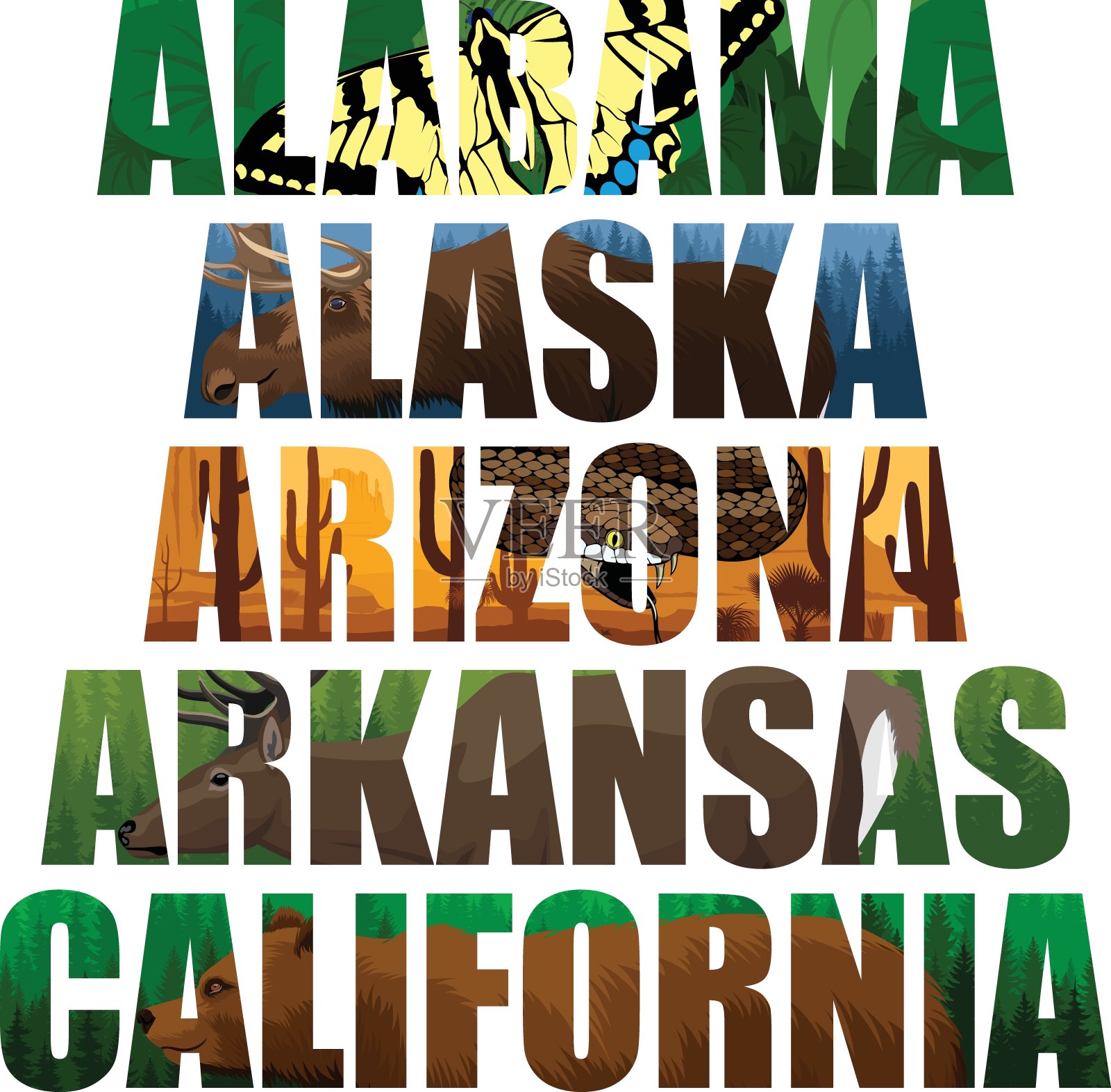 向量集的美国州字与动物-阿拉巴马，阿拉斯加，亚利桑那，阿肯色州，加利福尼亚州插画图片素材