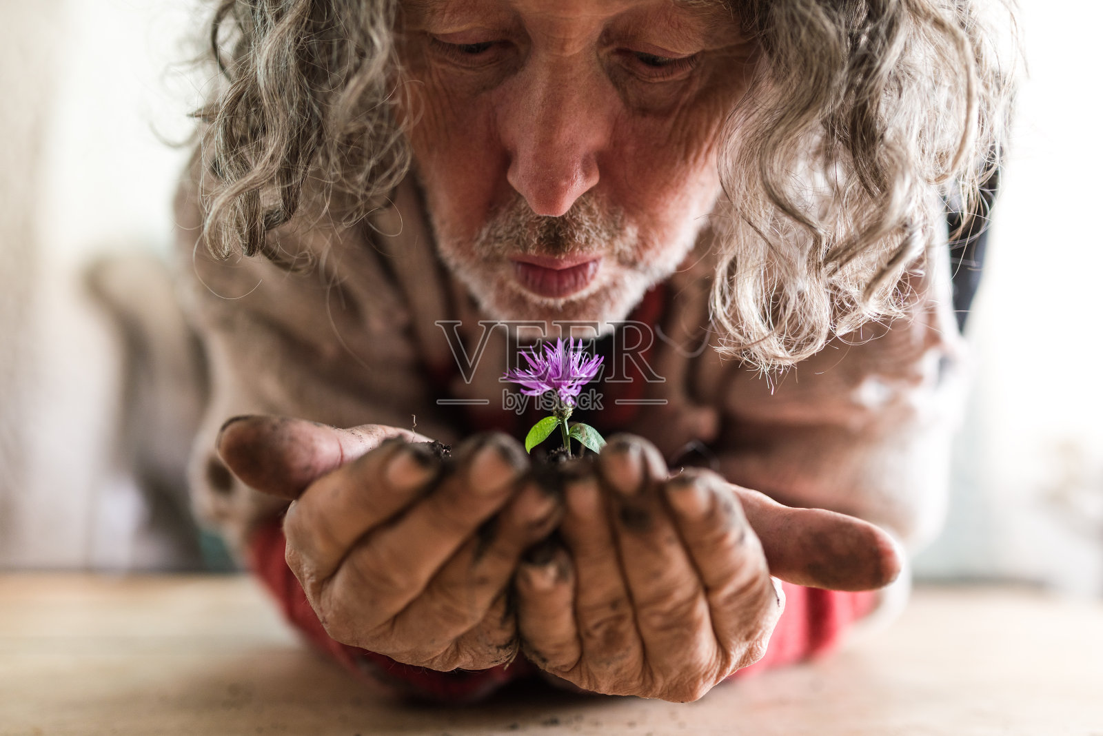 满脸胡须的老人手里拿着一朵花照片摄影图片