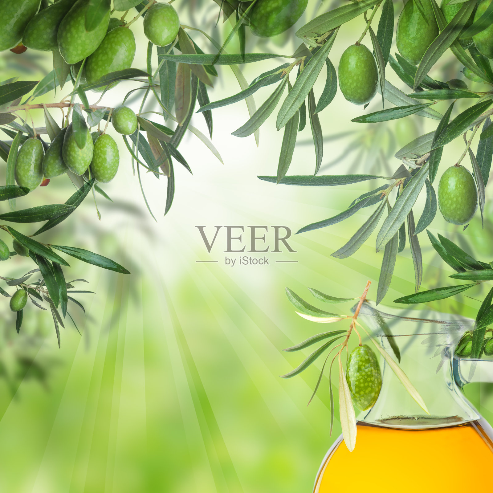 生卡拉马塔橄榄在橄榄树的树枝和橄榄油玻璃罐子在绿色的夏季背景照片摄影图片