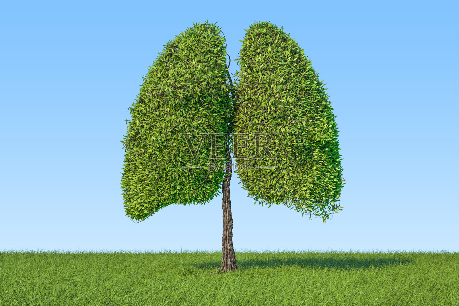环保的概念。树肺的形状在绿色的草地上映衬着蓝天，3D渲染照片摄影图片