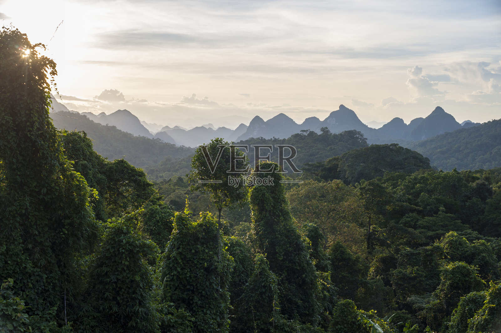 丛林景观和遥远的山脉，溪邦，广平省照片摄影图片