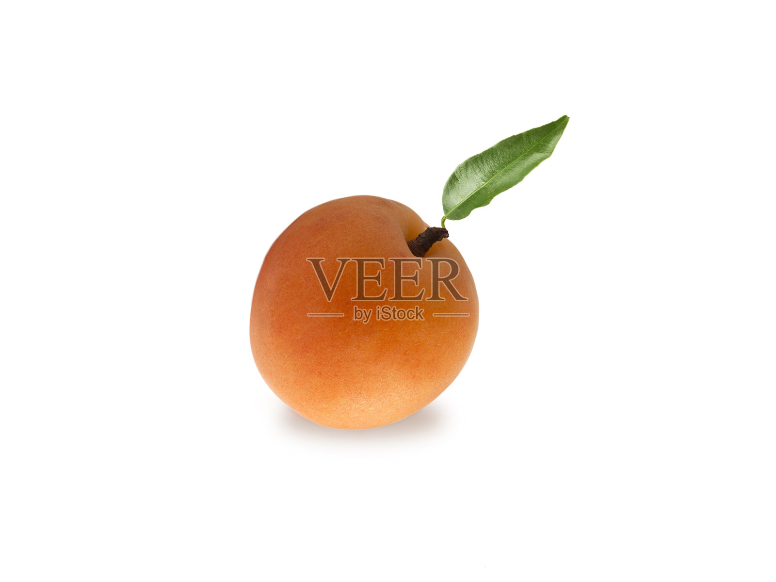各种新鲜的夏季浆果。成熟的杏与复制空间的文本。白色背景上的水果。杏子，叶子孤立在白色背景上。照片摄影图片