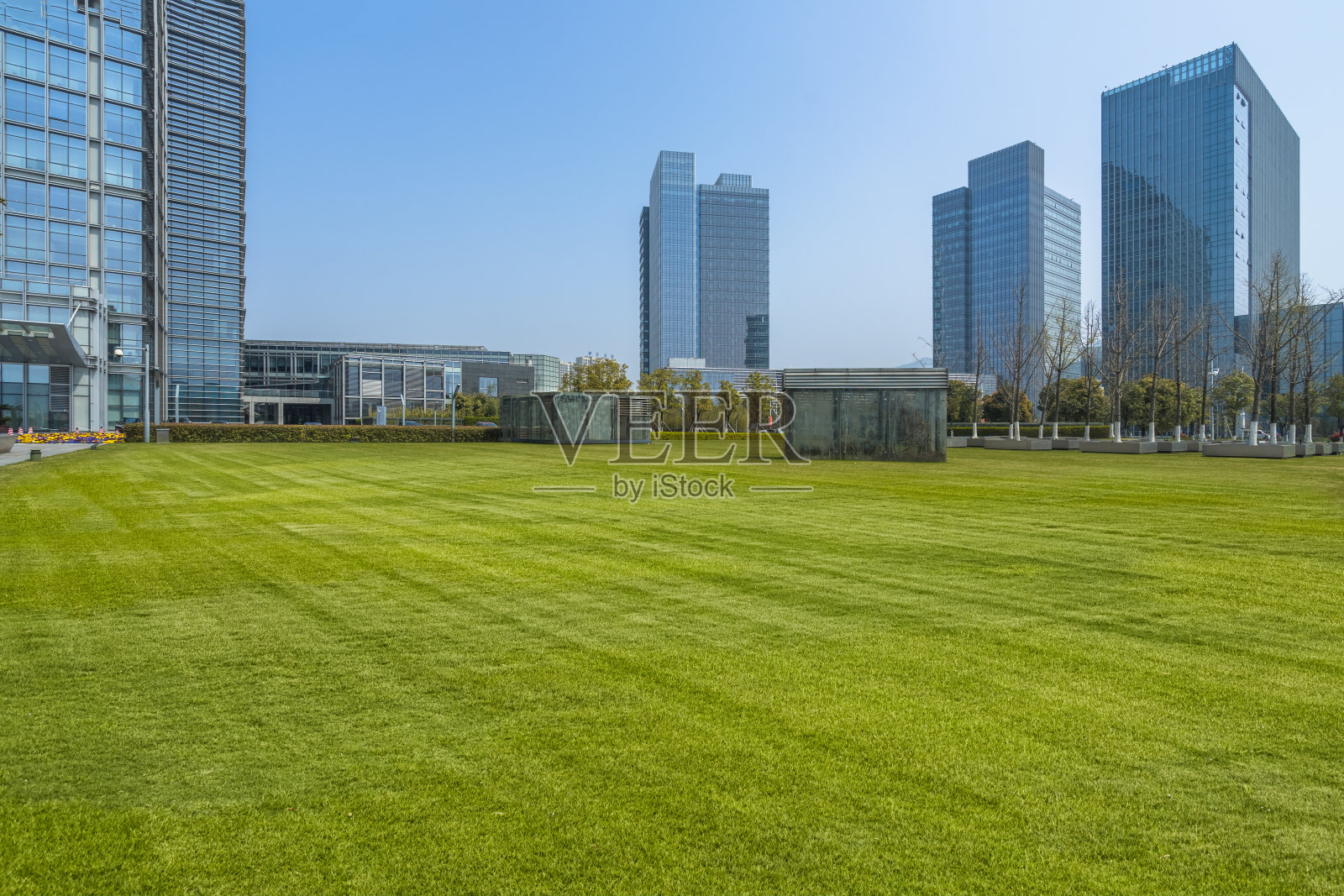 绿色草坪映衬着天空的现代办公大楼照片摄影图片