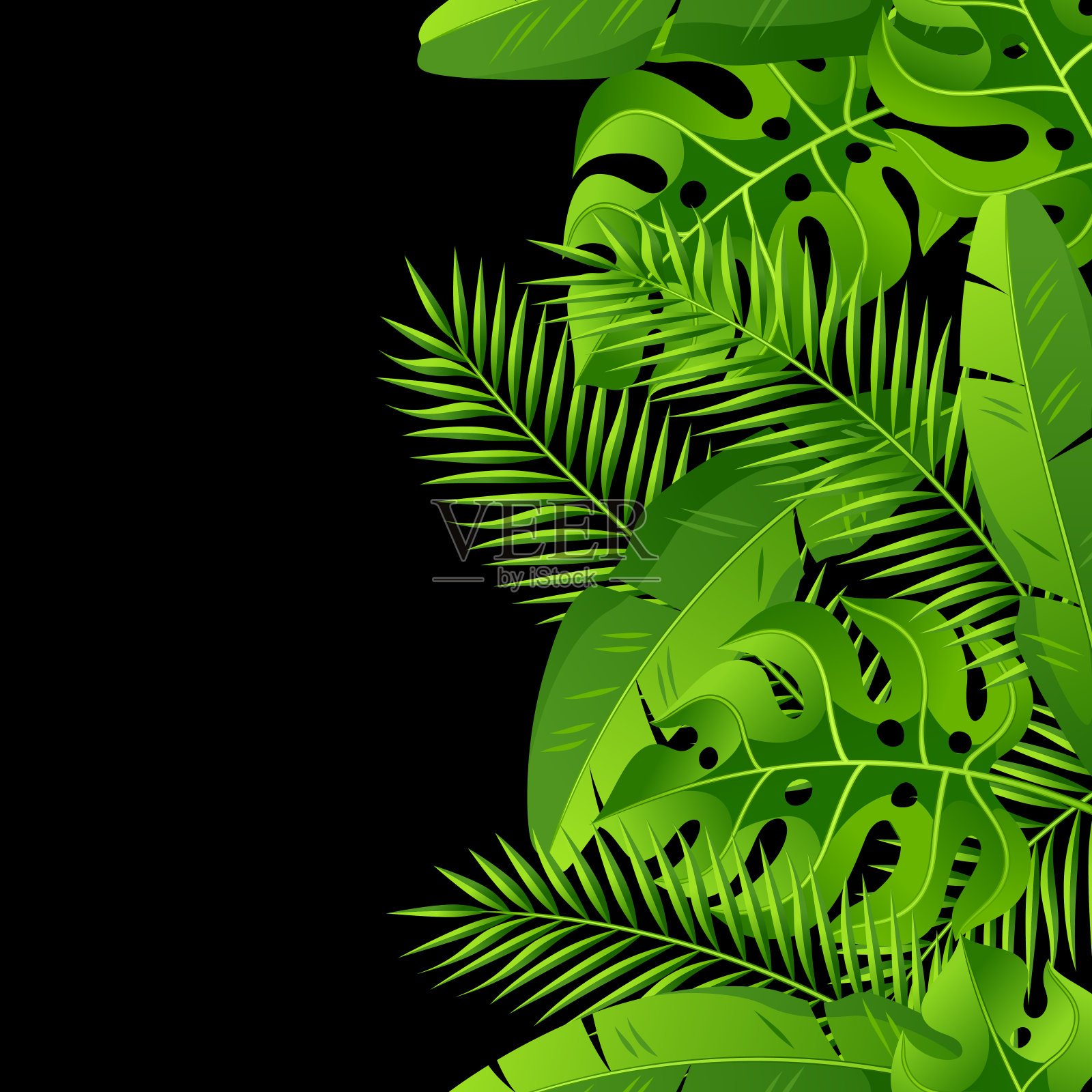 无缝模式与热带棕榈叶。奇异的热带植物。丛林自然插画插画图片素材