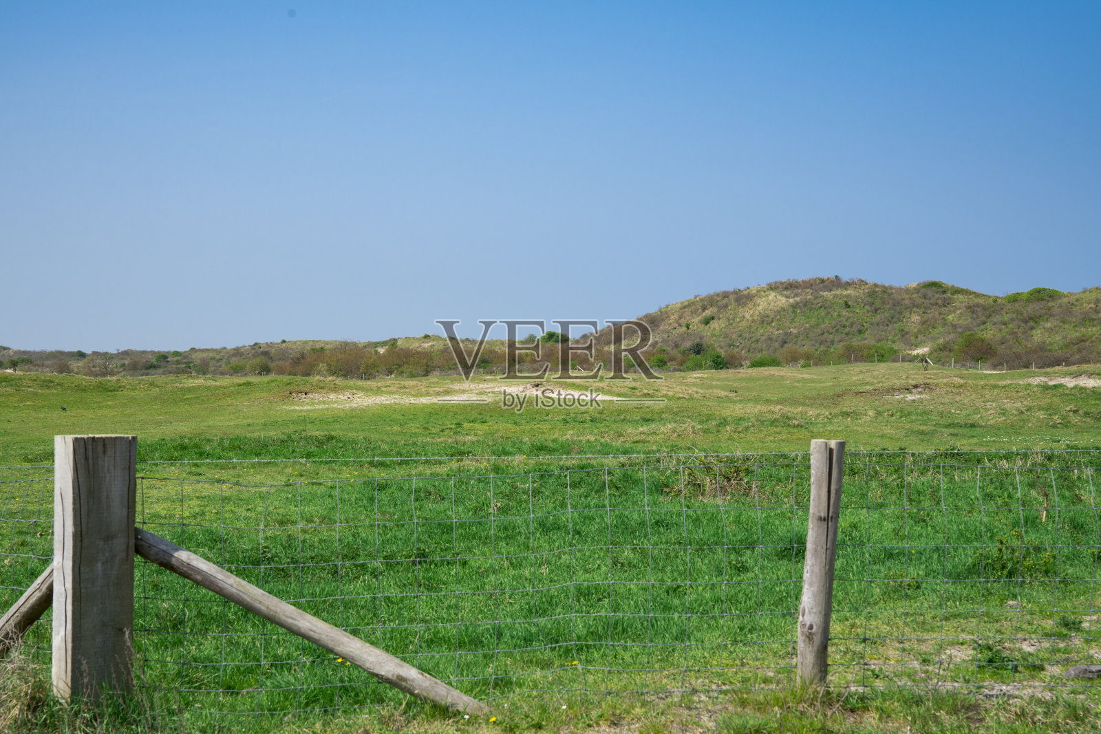 沙丘景观，在Renesse，荷兰，北海，蓝天照片摄影图片
