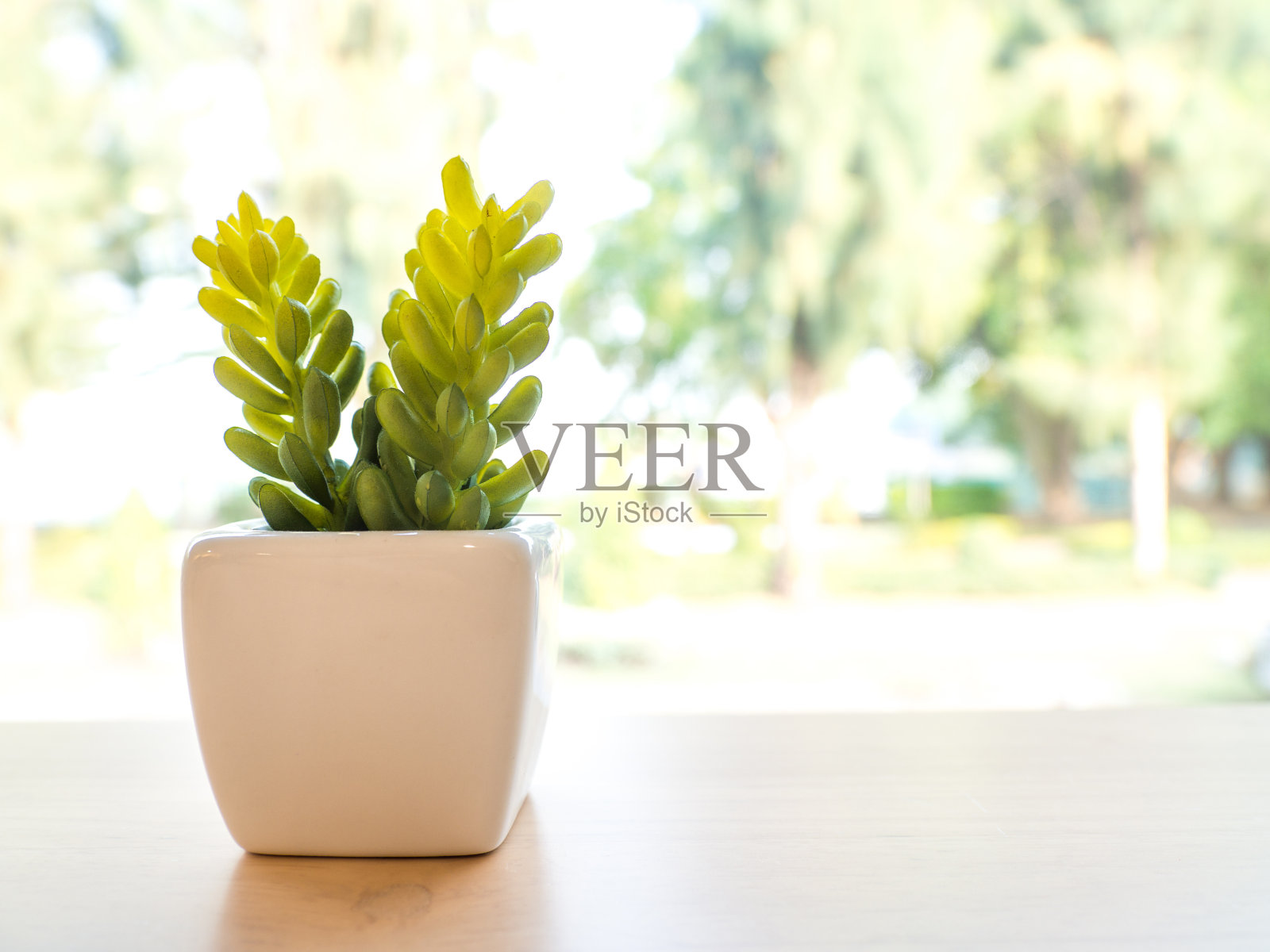 绿色的塑料仙人掌在一个白色的花盆里。放在窗前的一张木桌上照片摄影图片