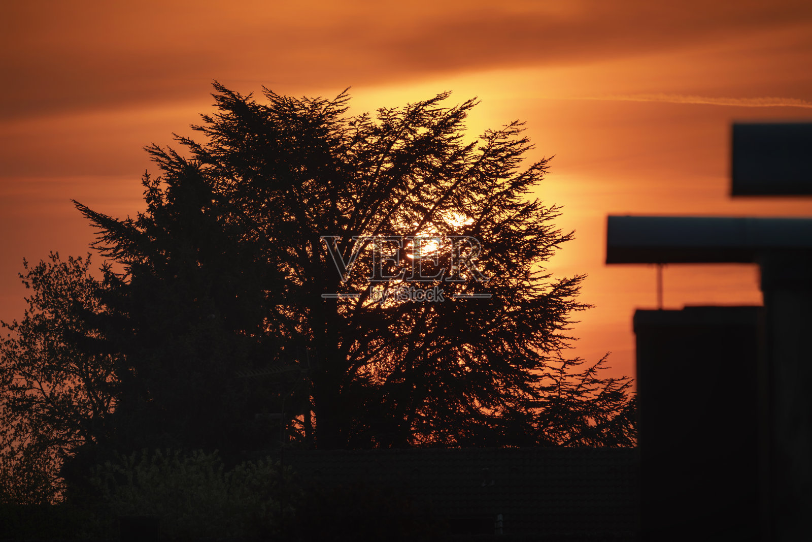 日出在一棵大树后面，前景是烟囱似的房子照片摄影图片