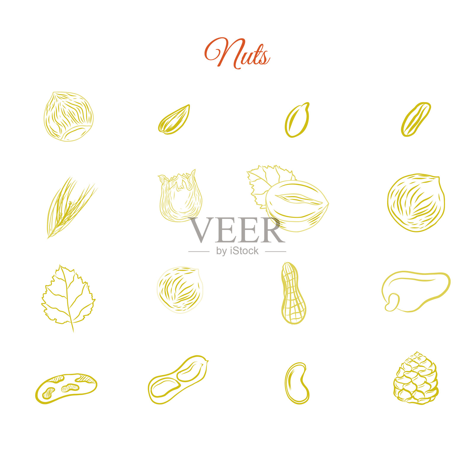 一套坚果食品简单的符号与榛子，核桃，松子，山核桃，花生。健康手绘小吃收集标志，图标设计设计元素图片