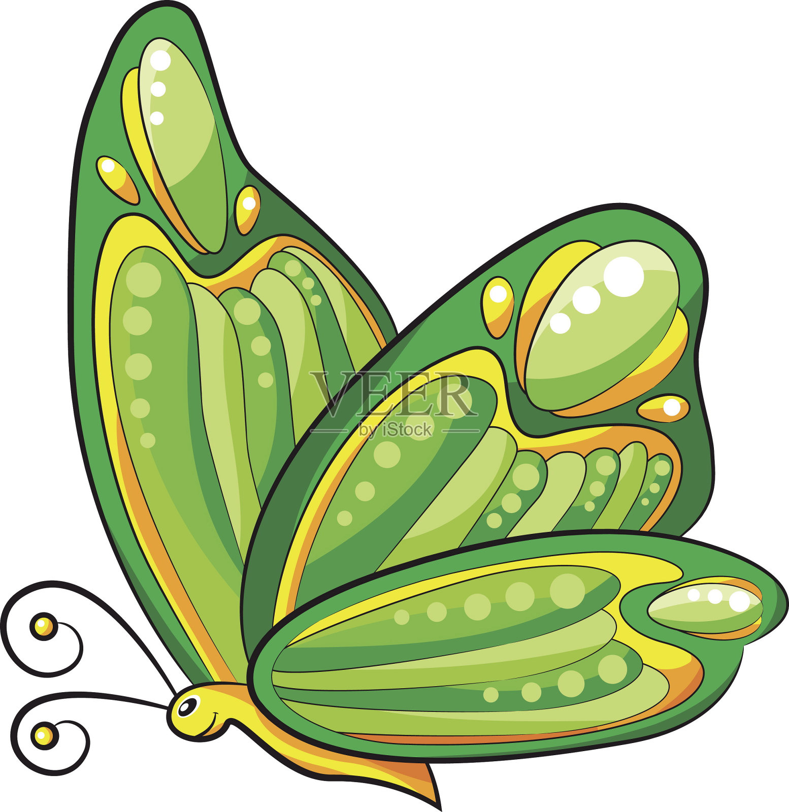 绿色的蝴蝶插画图片素材