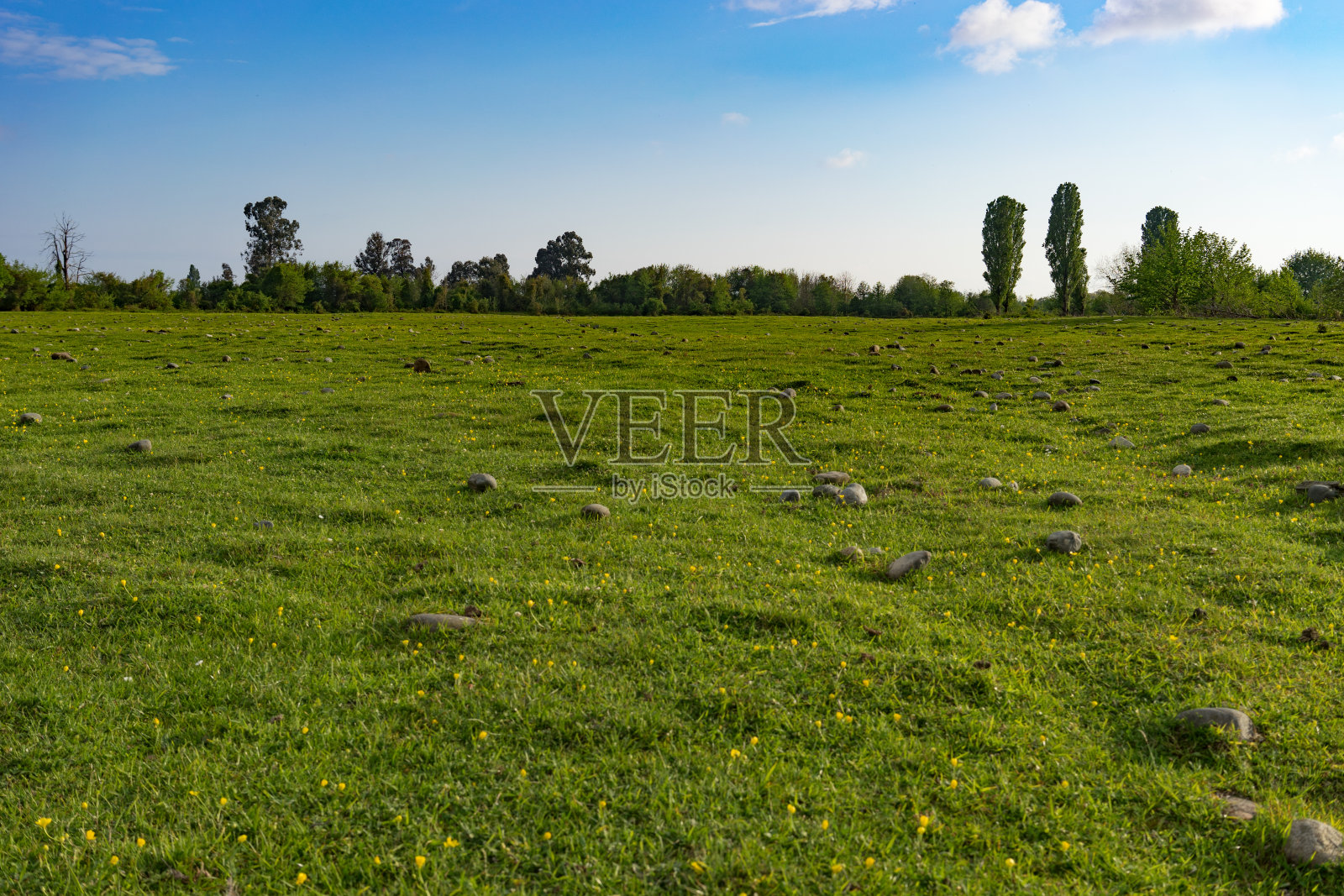 蓝天下，田野覆盖着绿草的自然景观。照片摄影图片