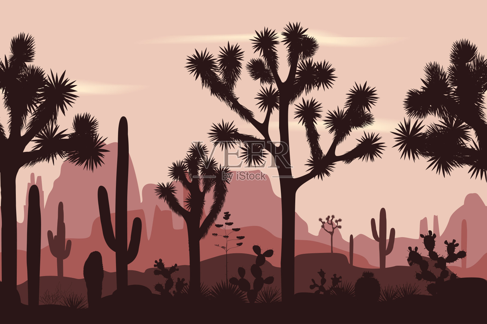 沙漠无缝模式与约书亚树，仙人掌，和撒瓜罗插画图片素材