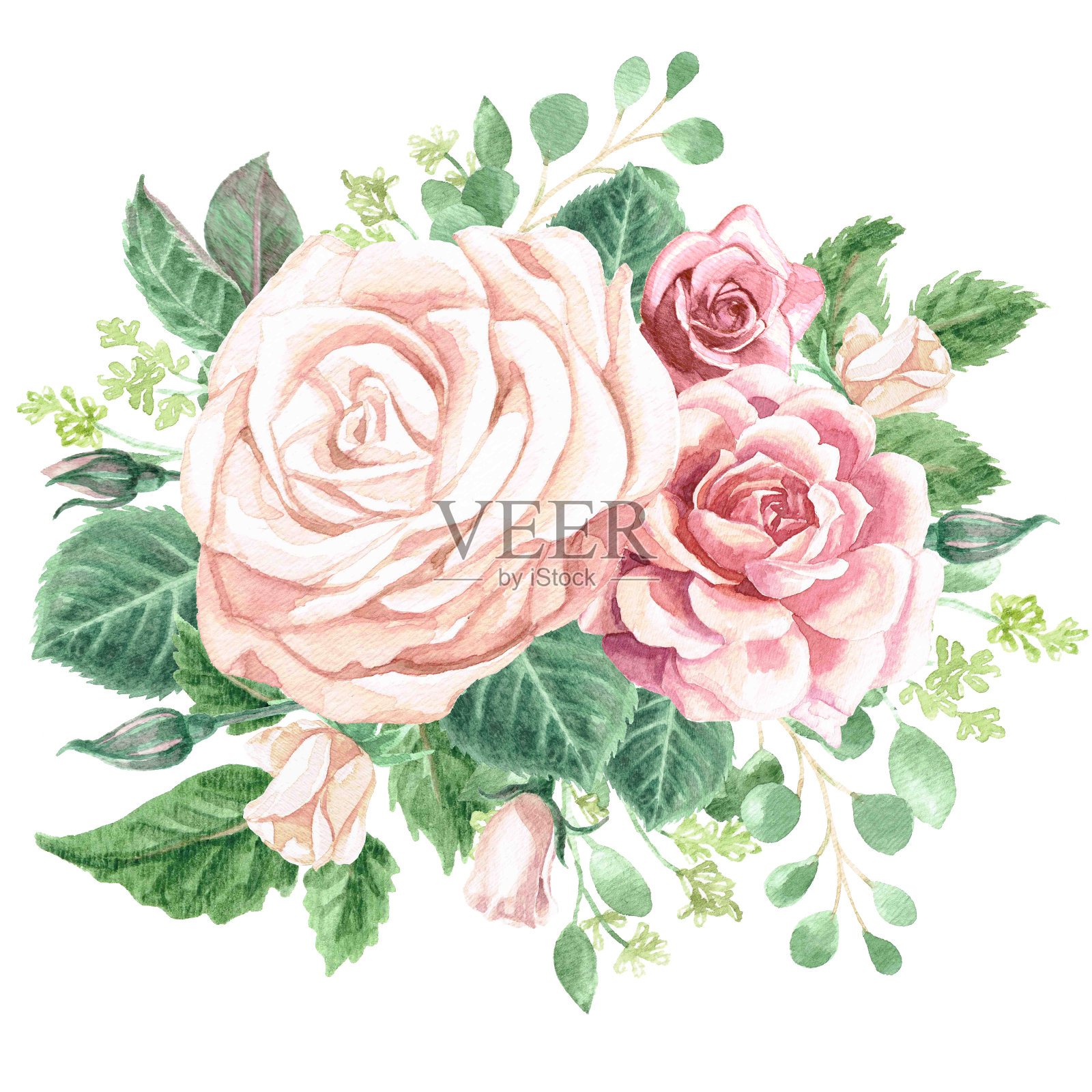 水彩绿叶和玫瑰花束插画图片素材