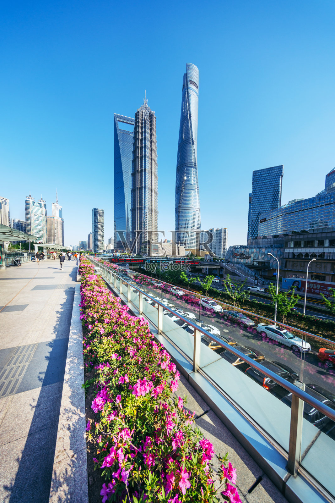 上海标志性的摩天大楼照片摄影图片