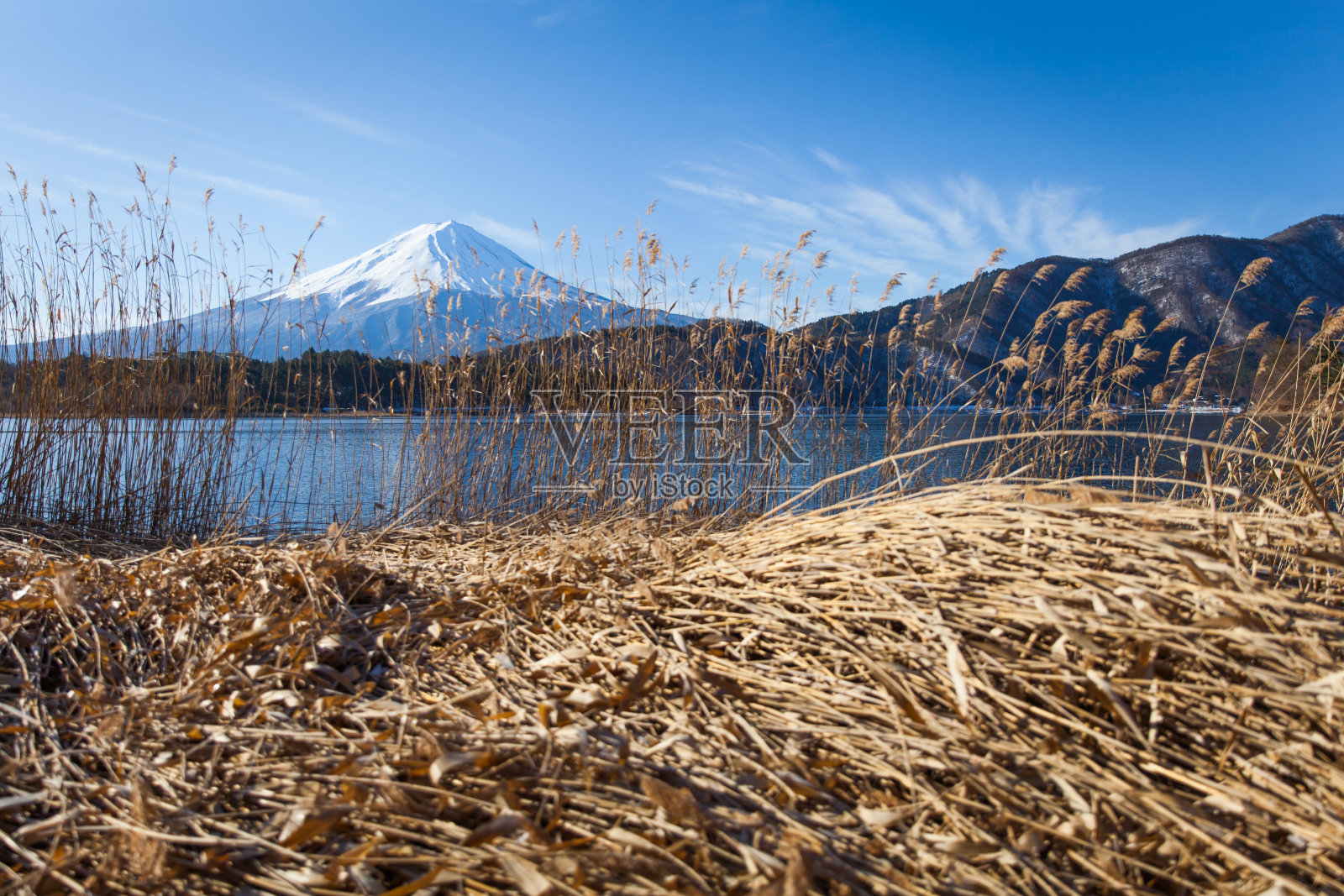 冬天在川口千子湖的富士山照片摄影图片