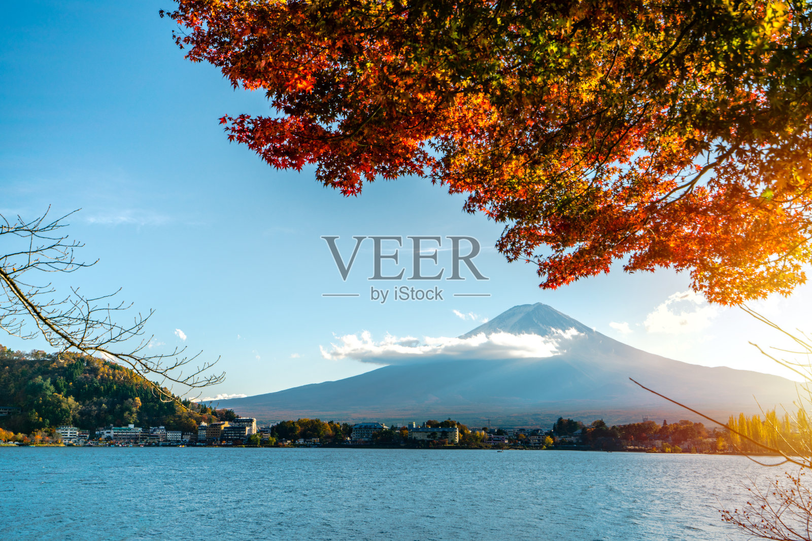 日本富士山，秋日早晨的天空，11月的花园，树叶被阳光照亮。照片摄影图片