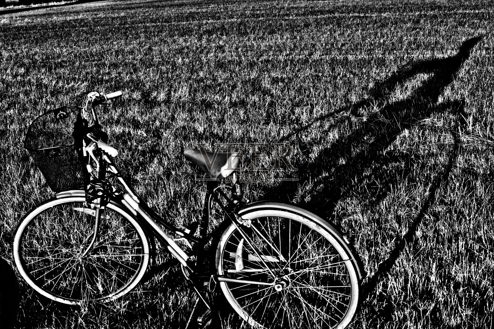 停放在田野上的自行车照片摄影图片