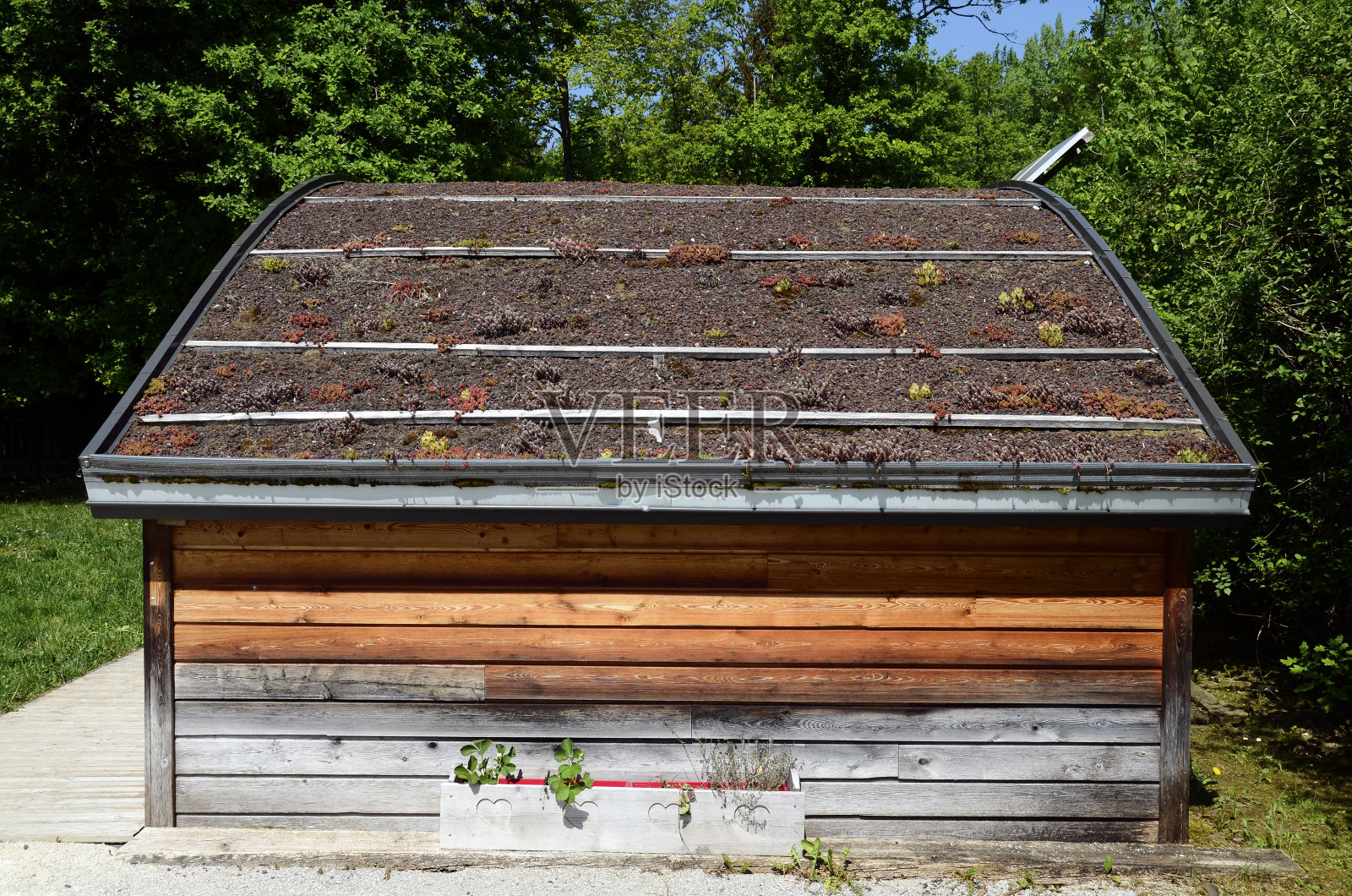 绿色屋顶与种植园的木屋照片摄影图片