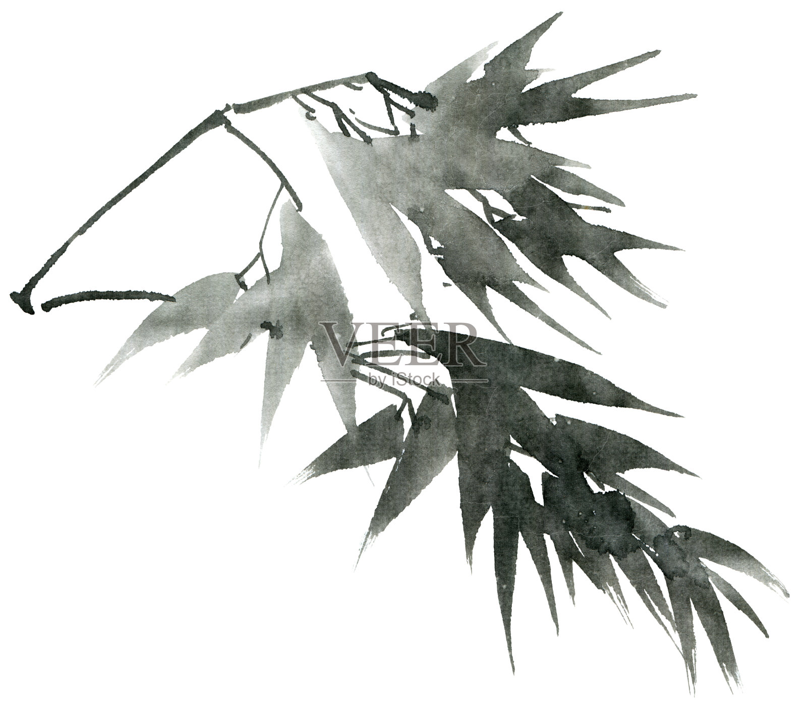 水彩竹叶枝插画图片素材