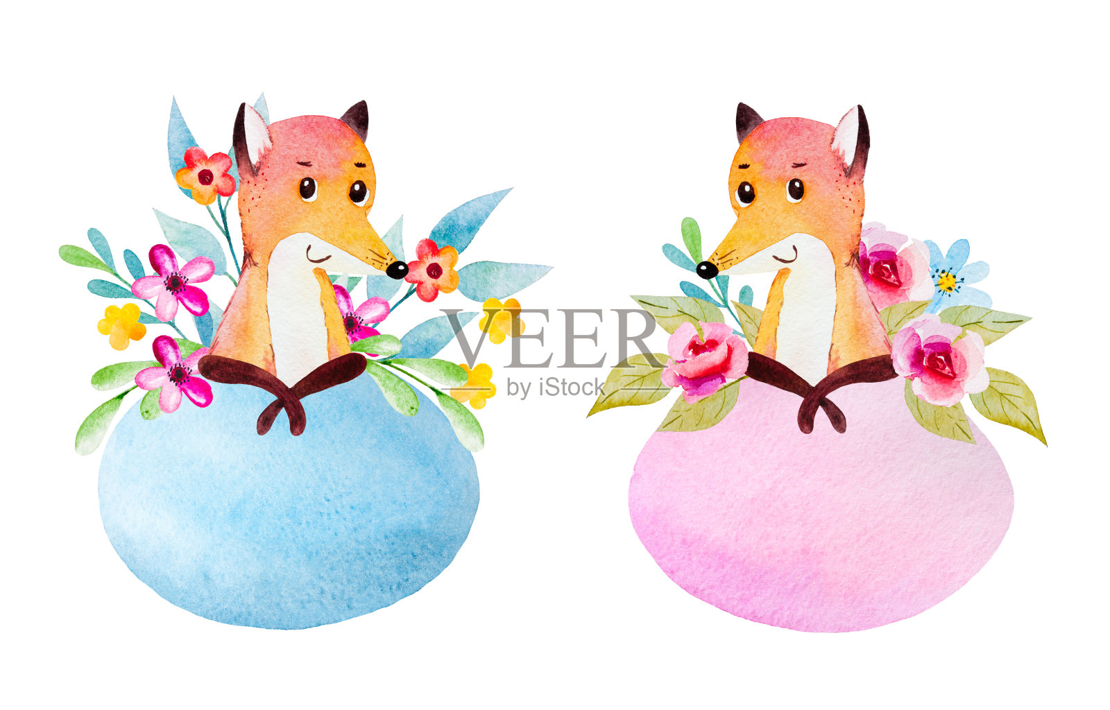 水彩画框架狐狸和花设计元素图片