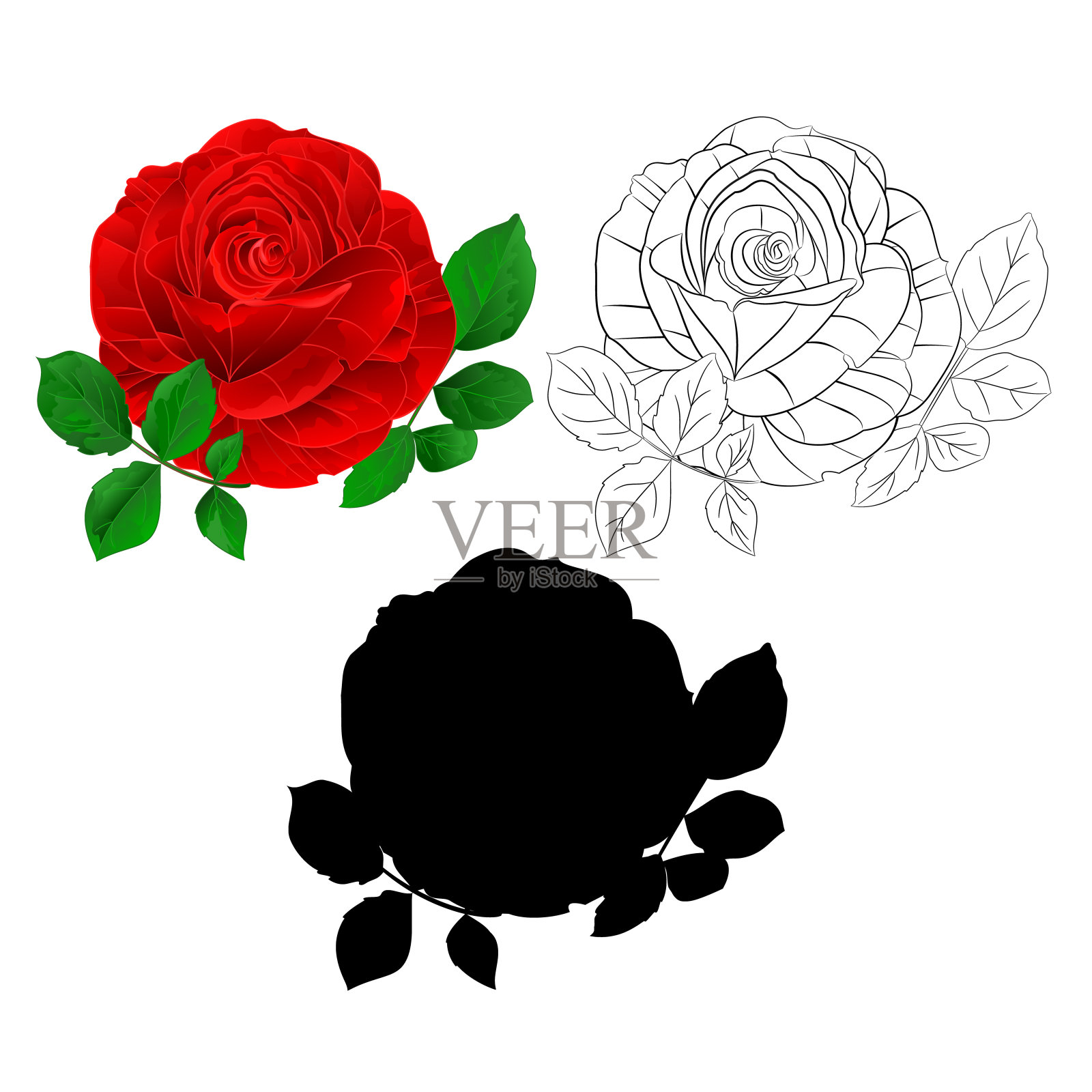 红玫瑰和叶自然和轮廓和剪影在白色背景复古矢量植物插图编辑插画图片素材