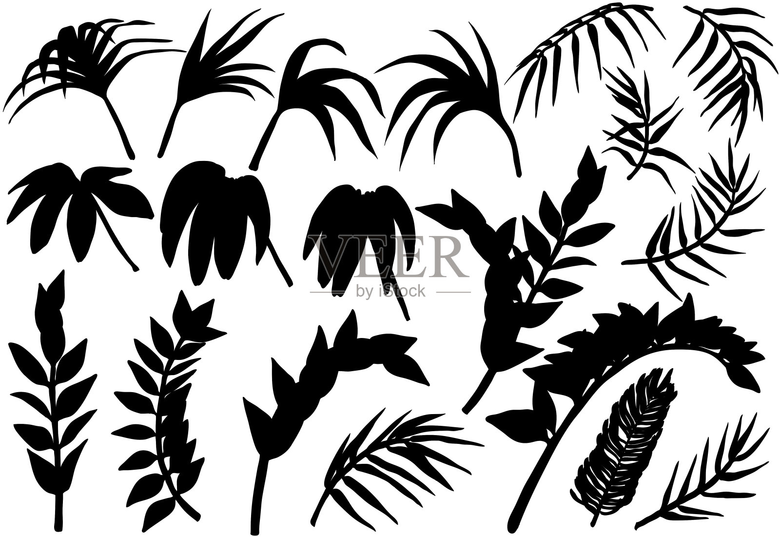 热带棕榈树丛林植物剪影集插画图片素材