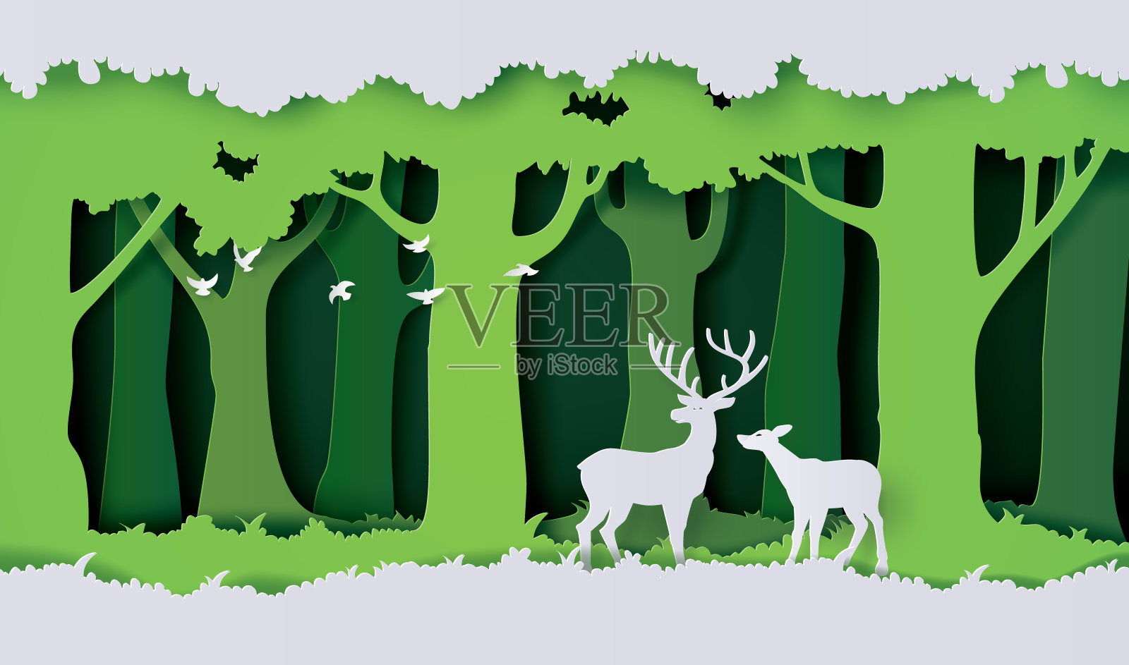 森林里的鹿。插画图片素材
