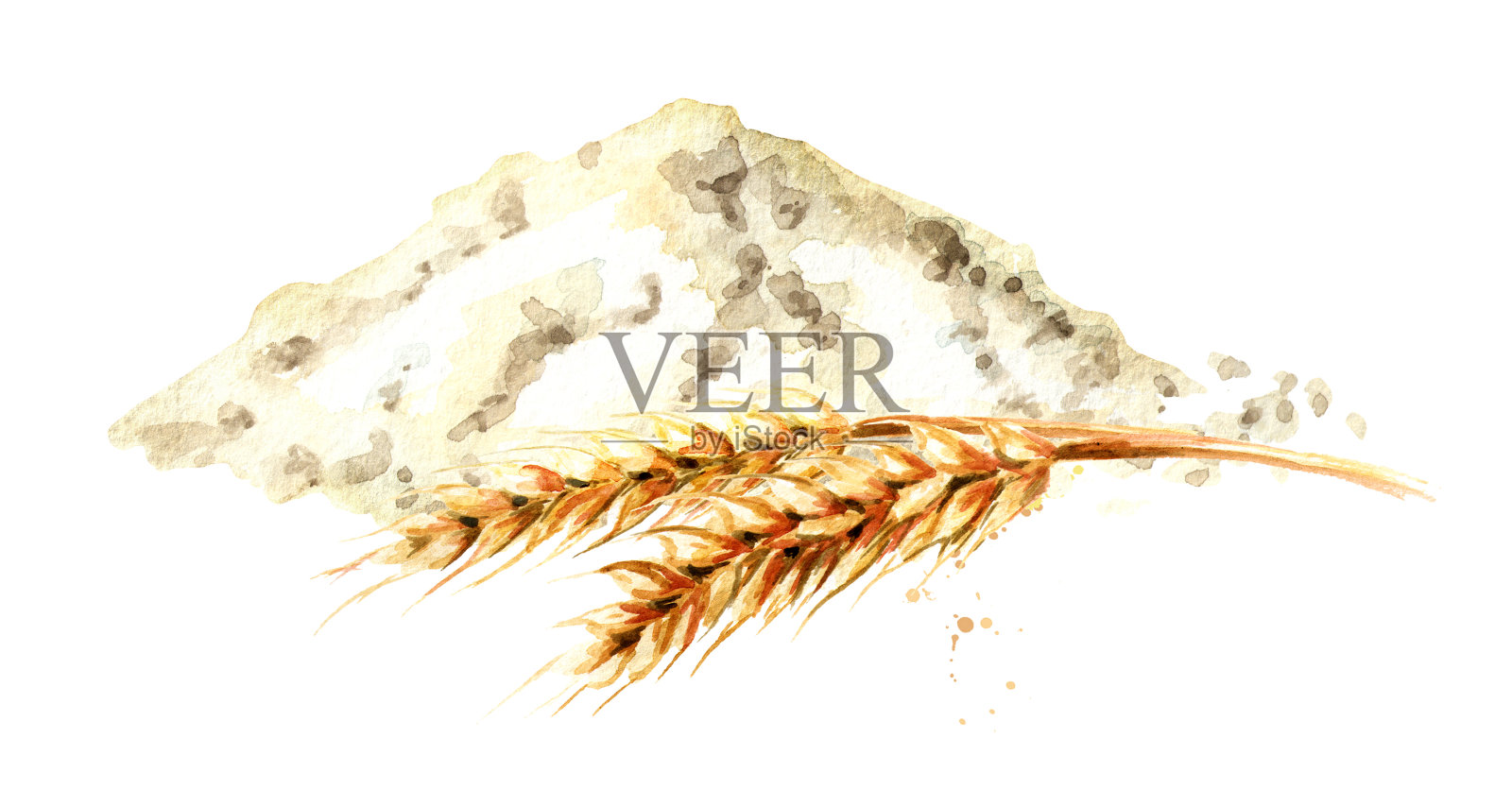 Wheat ear and handful of flour. Watercolor hand drawn illustration, isolated on white background插画图片素材