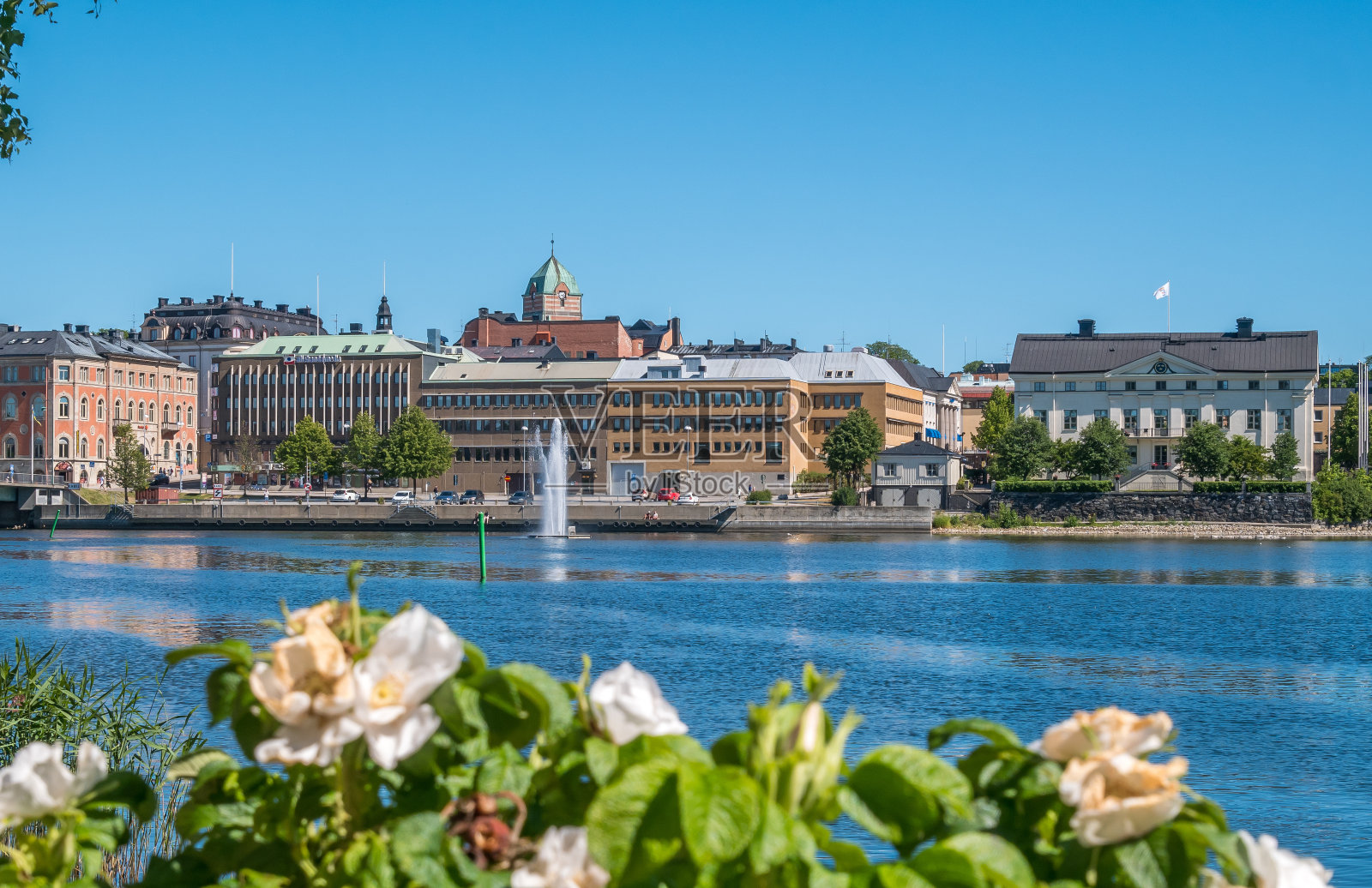 位于瑞典北部的哈诺桑市。前景中有花和湖。中心的背景。夏天的白天。照片摄影图片