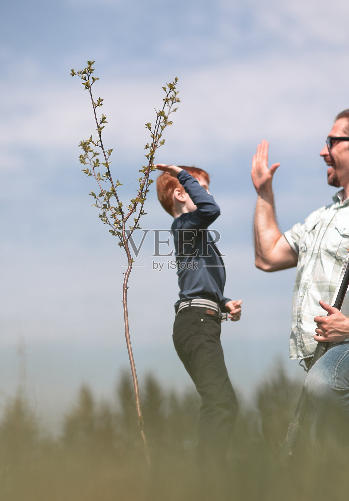 快乐的父子栽一棵小树照片摄影图片