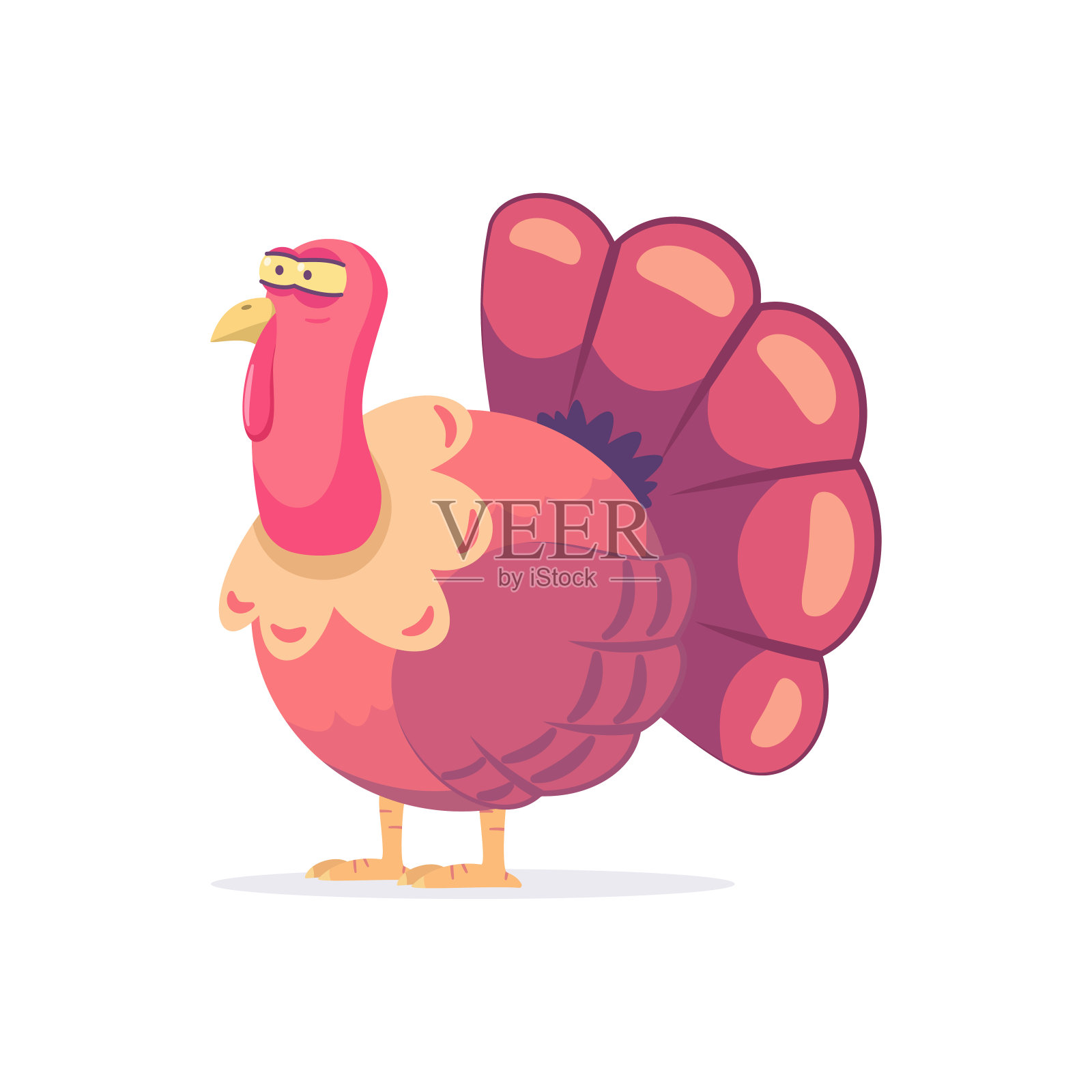 感恩节可爱的火鸡性格。矢量卡通有趣的鸟孤立在白色的背景。设计元素图片