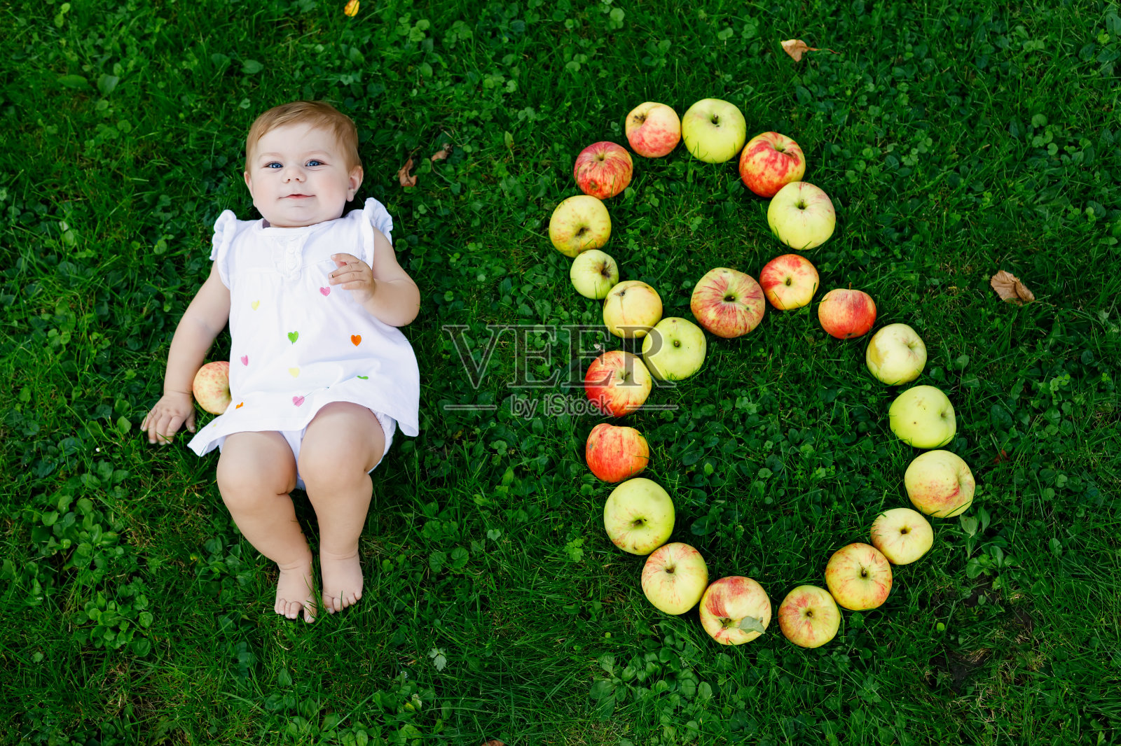 初秋农场上用成熟的苹果做的八个月大的可爱的8号宝宝。小女孩在苹果树园里玩耍照片摄影图片