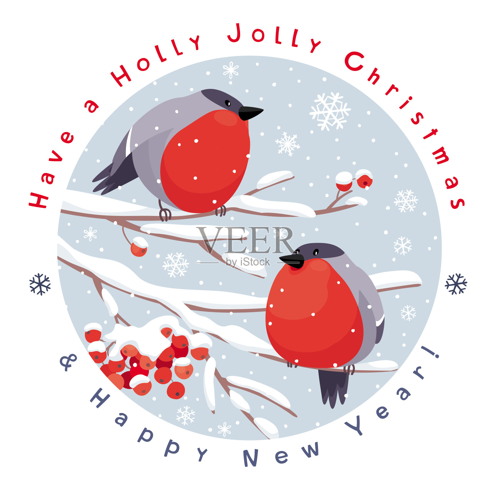 矢量红腹灰雀和花楸圣诞贺卡插画图片素材
