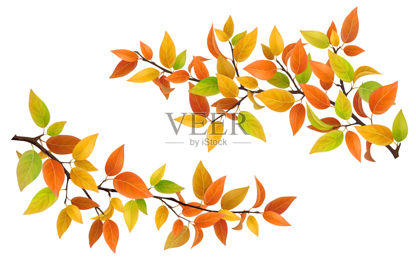 树枝上有秋天的叶子插画图片素材