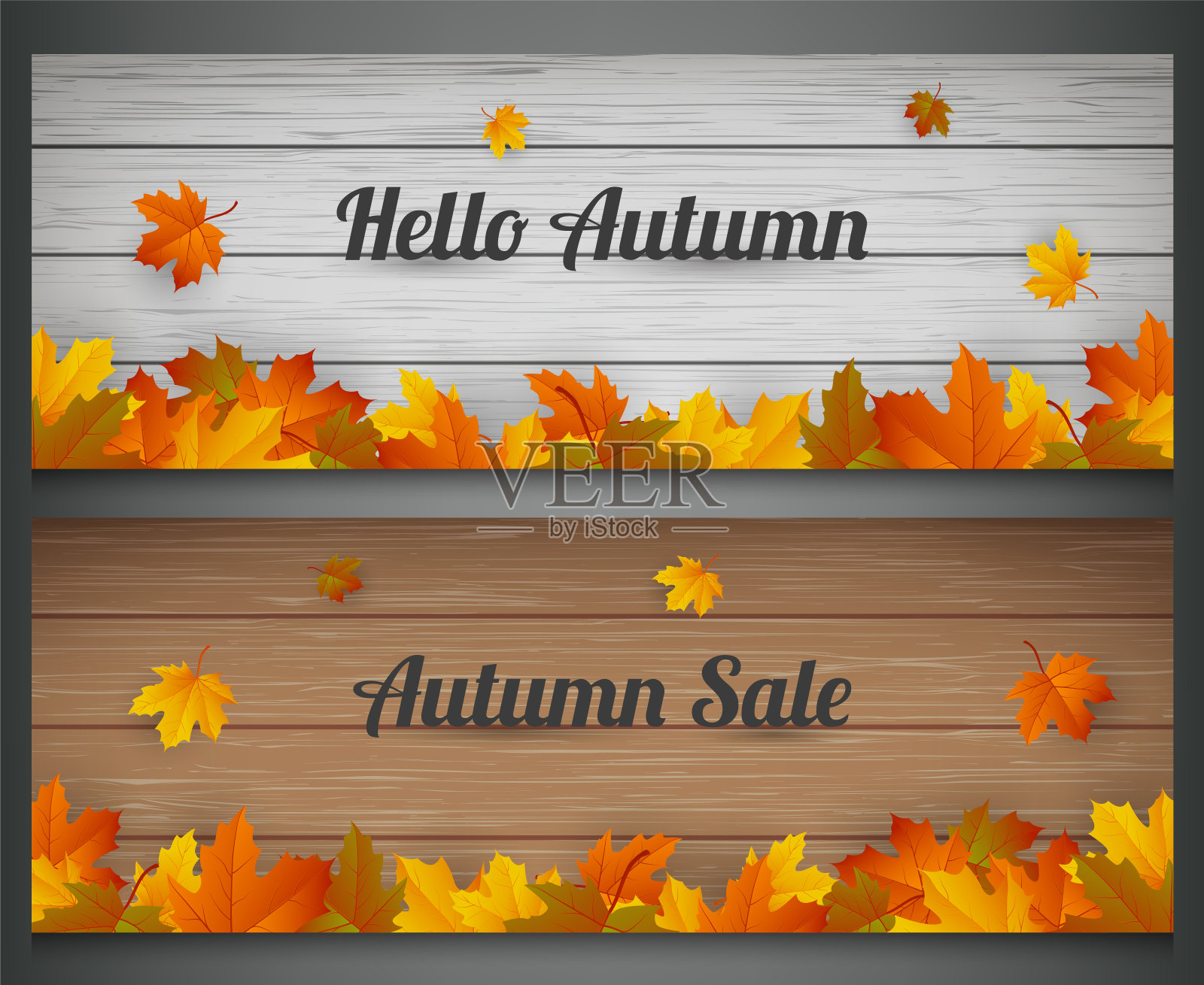秋天的横幅。秋天出售。背景与落叶。向量设计元素图片