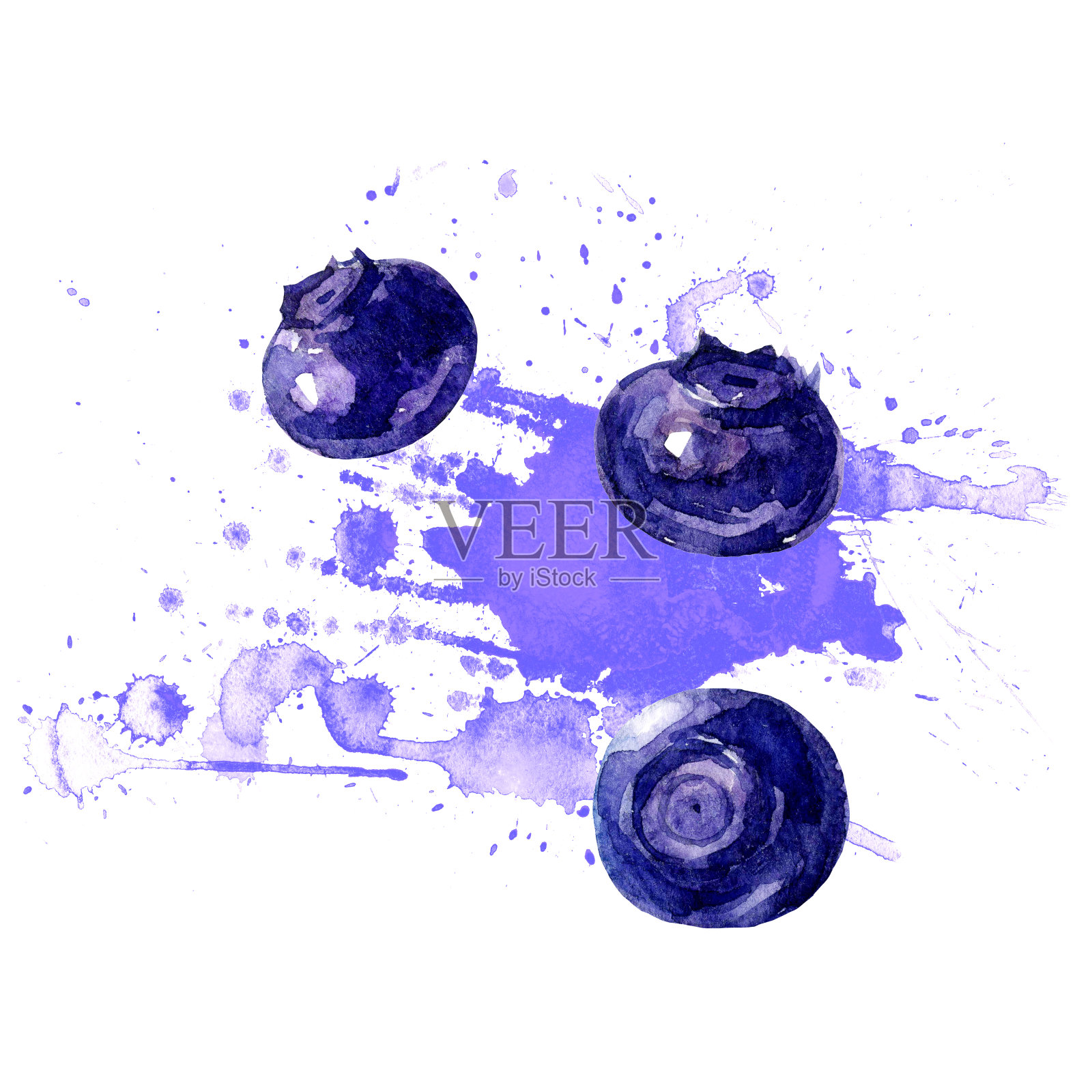 蓝莓，水彩插图在白色的背景。插画图片素材