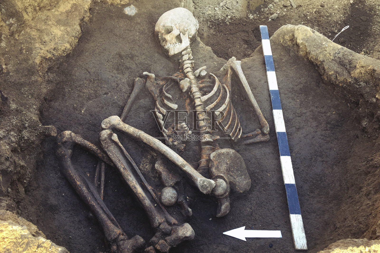 考古发掘和发现(一具人骨下葬)，工作工具，尺子，箭头方向北，古代细部研究，史前。照片摄影图片