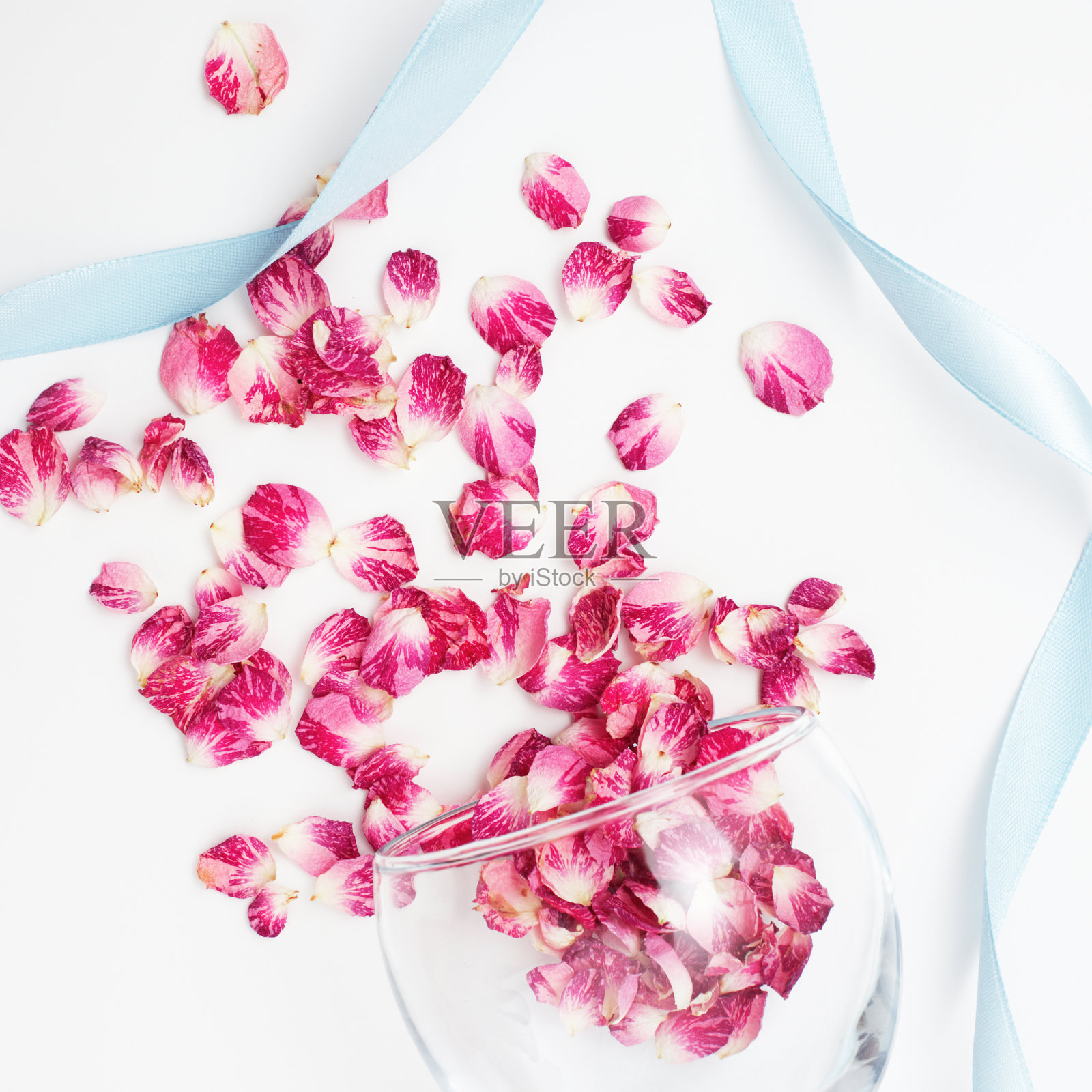 花瓣花在白色背景与蓝色缎带。平的。情人节，爱情和婚礼的概念照片摄影图片