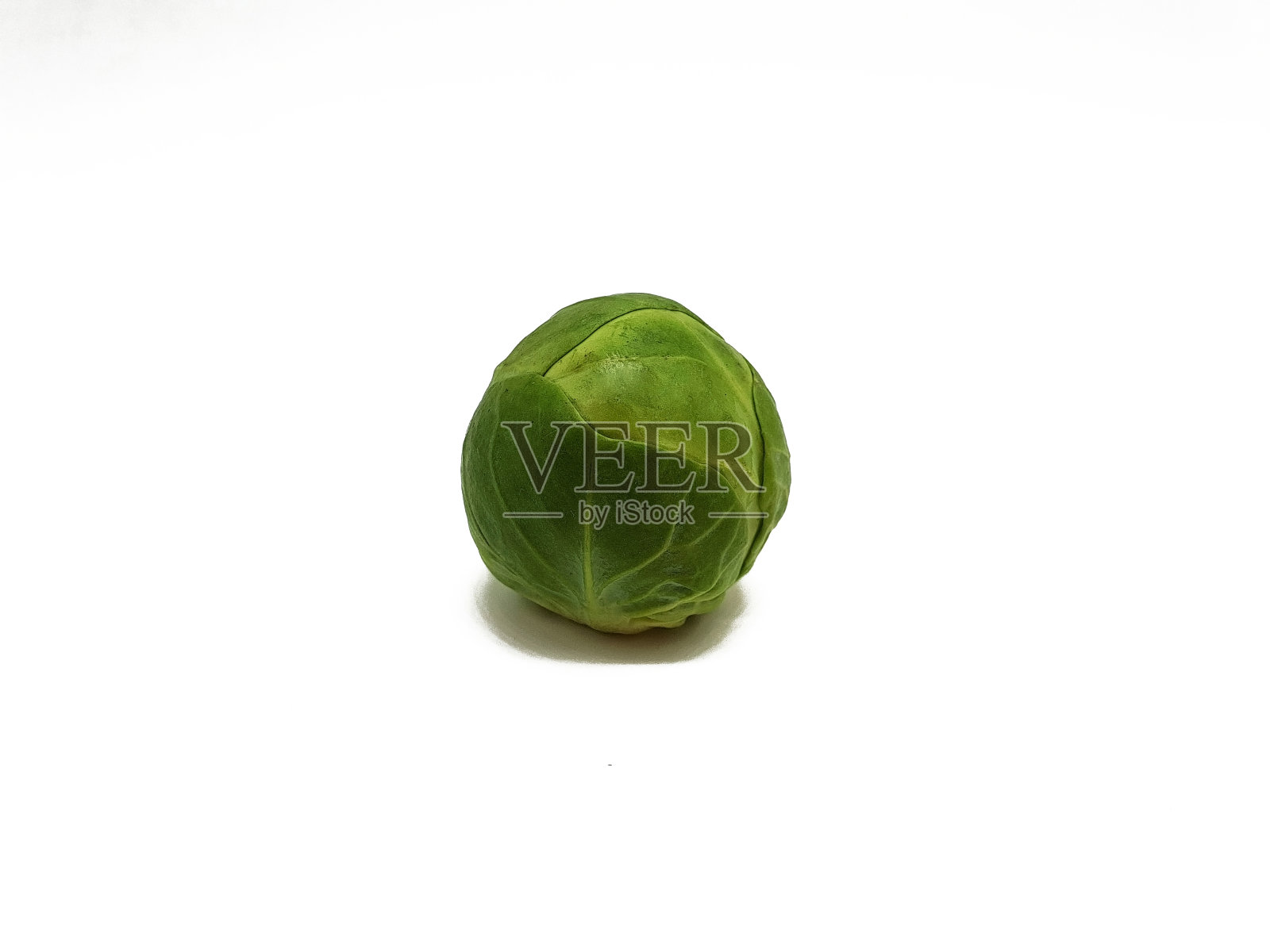 新鲜的球芽甘蓝作为冬天的蔬菜照片摄影图片