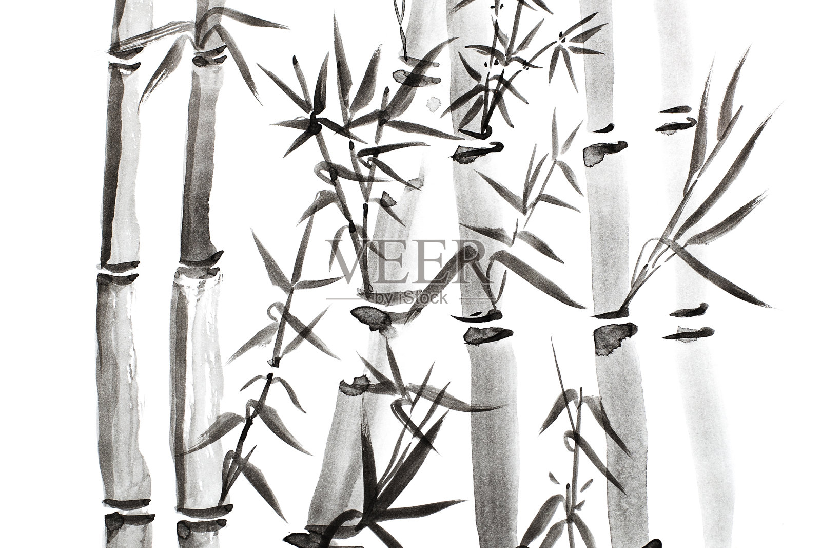 手绘竹叶枝集，水墨画。传统干式书法毛笔画。(在白色背景上孤立)插画图片素材