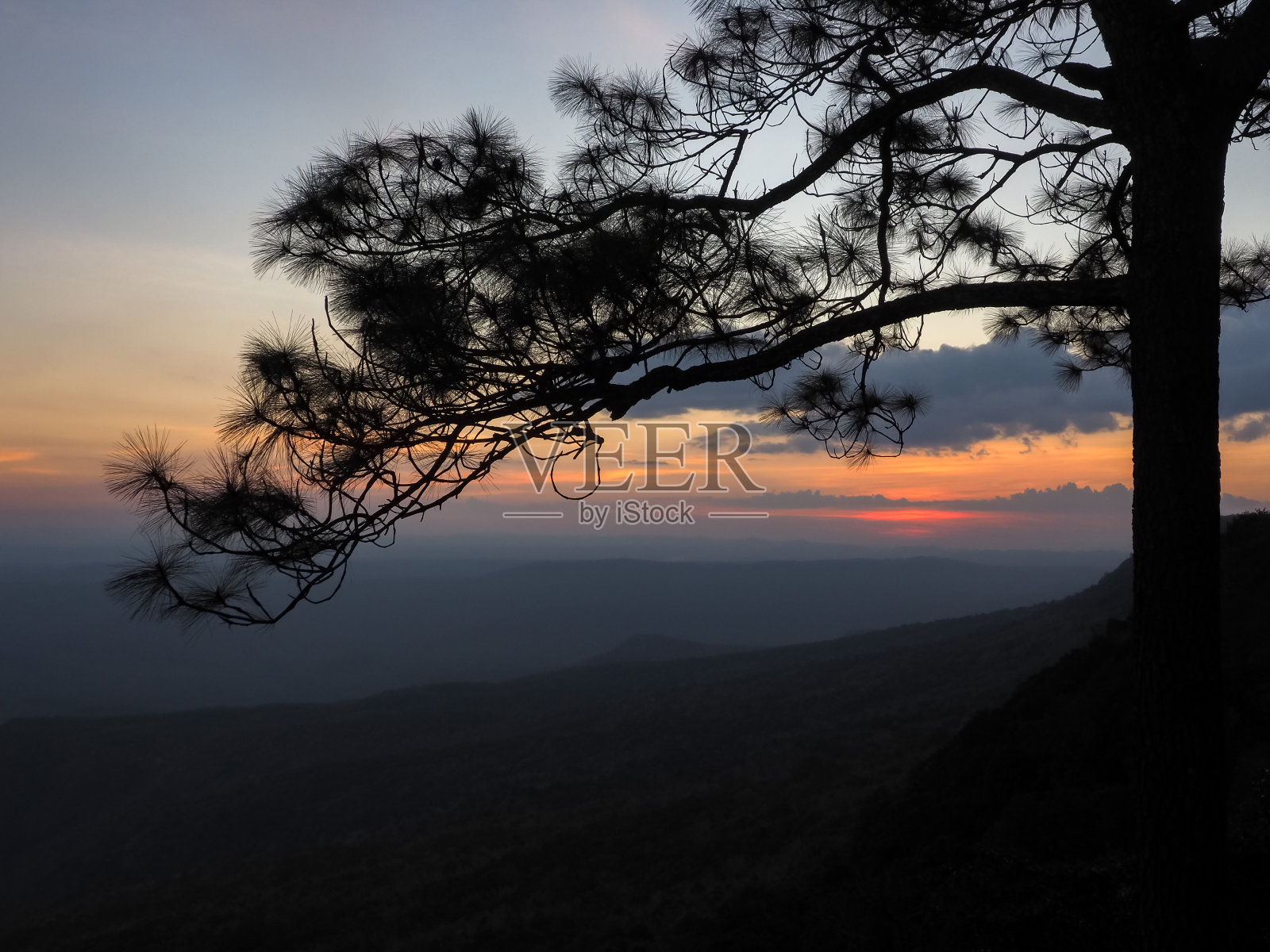 日落山松树剪影照片摄影图片