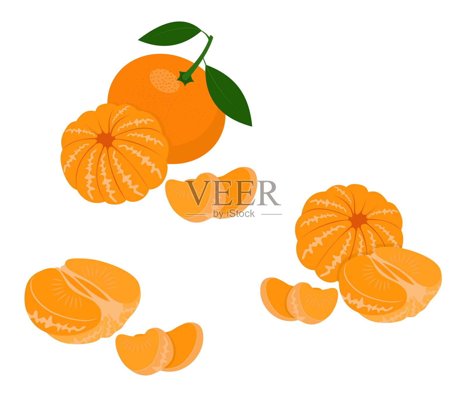 柑橘，柑橘，小柑橘，叶子孤立在白色背景上。柑橘类的水果。矢量图设计元素图片