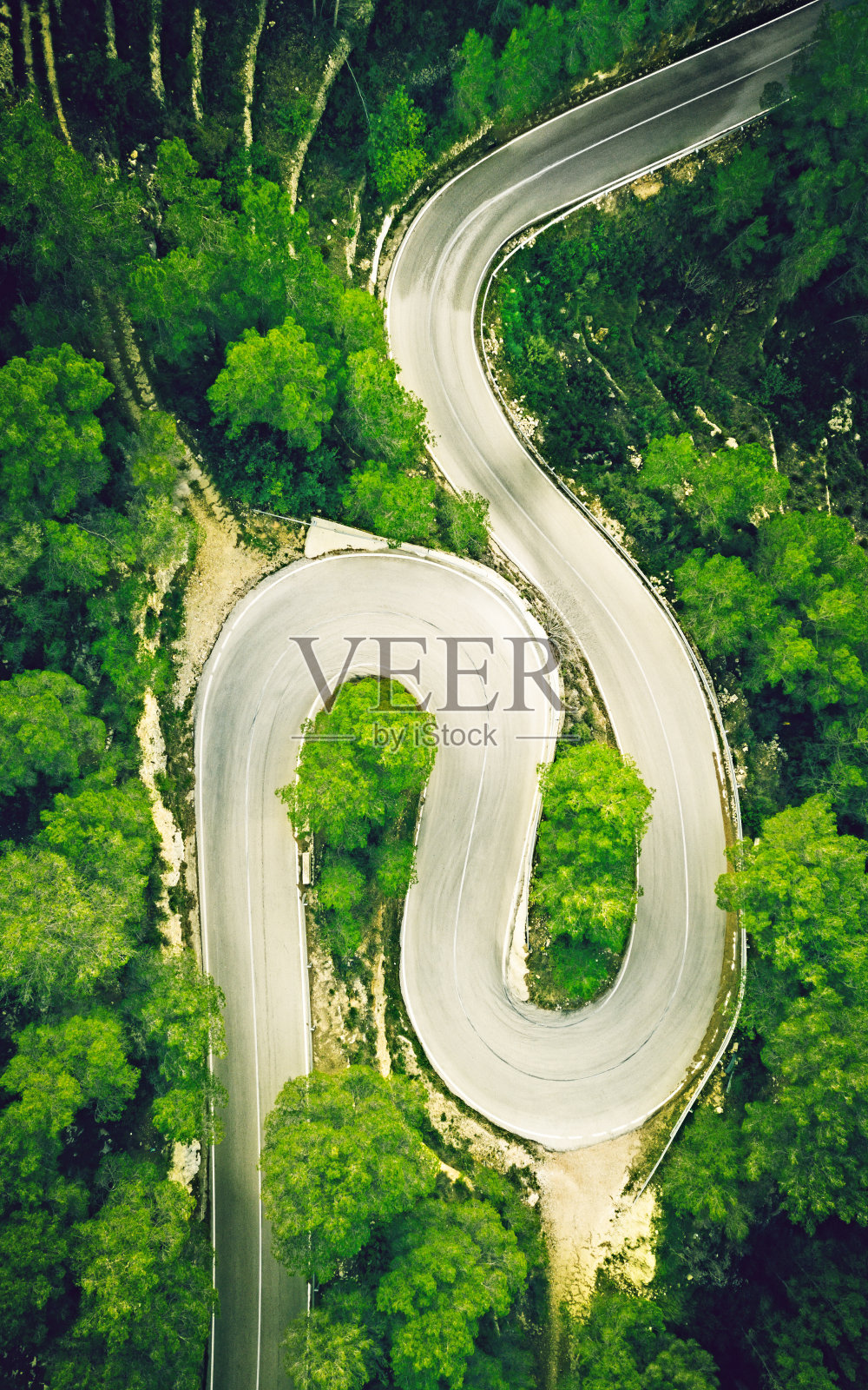 鸟瞰图的两车道蜿蜒的道路在森林照片摄影图片
