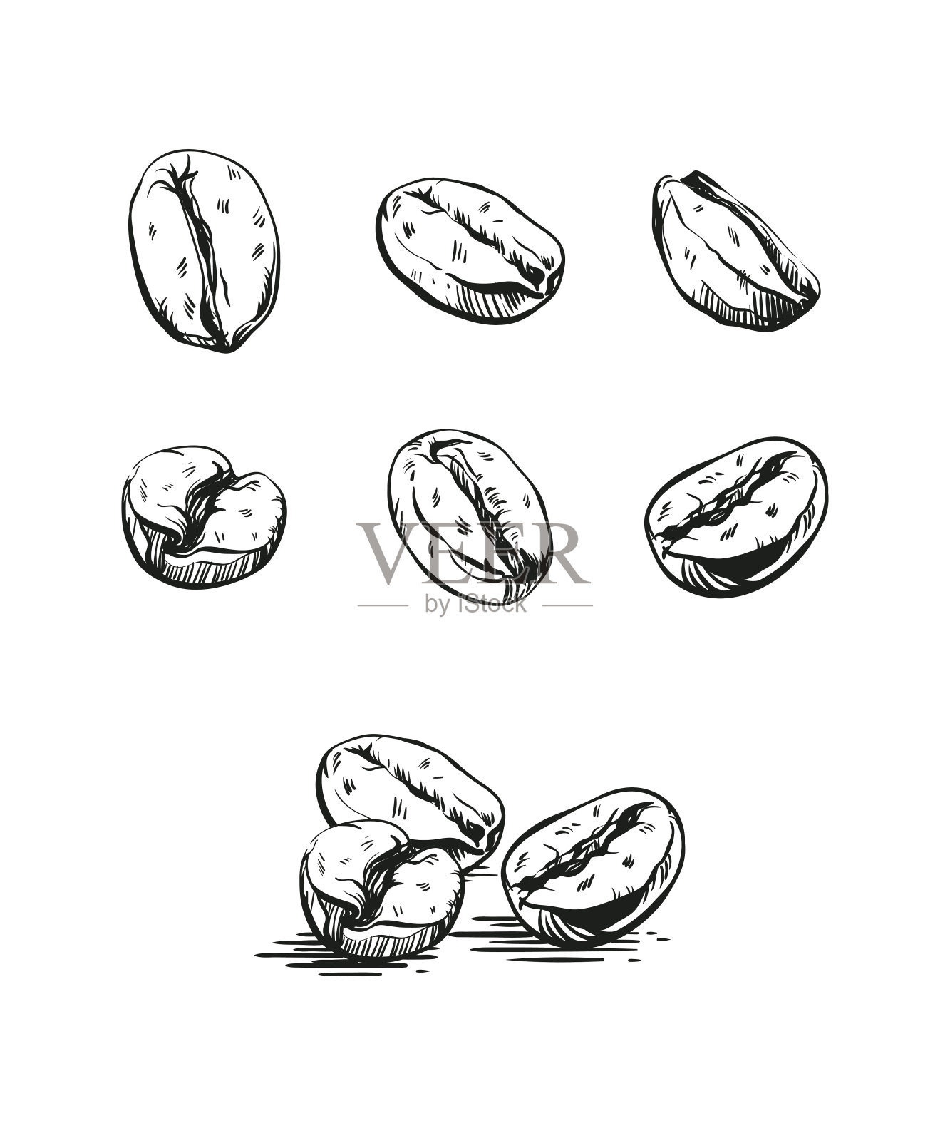 矢量手绘咖啡豆。插画图片素材