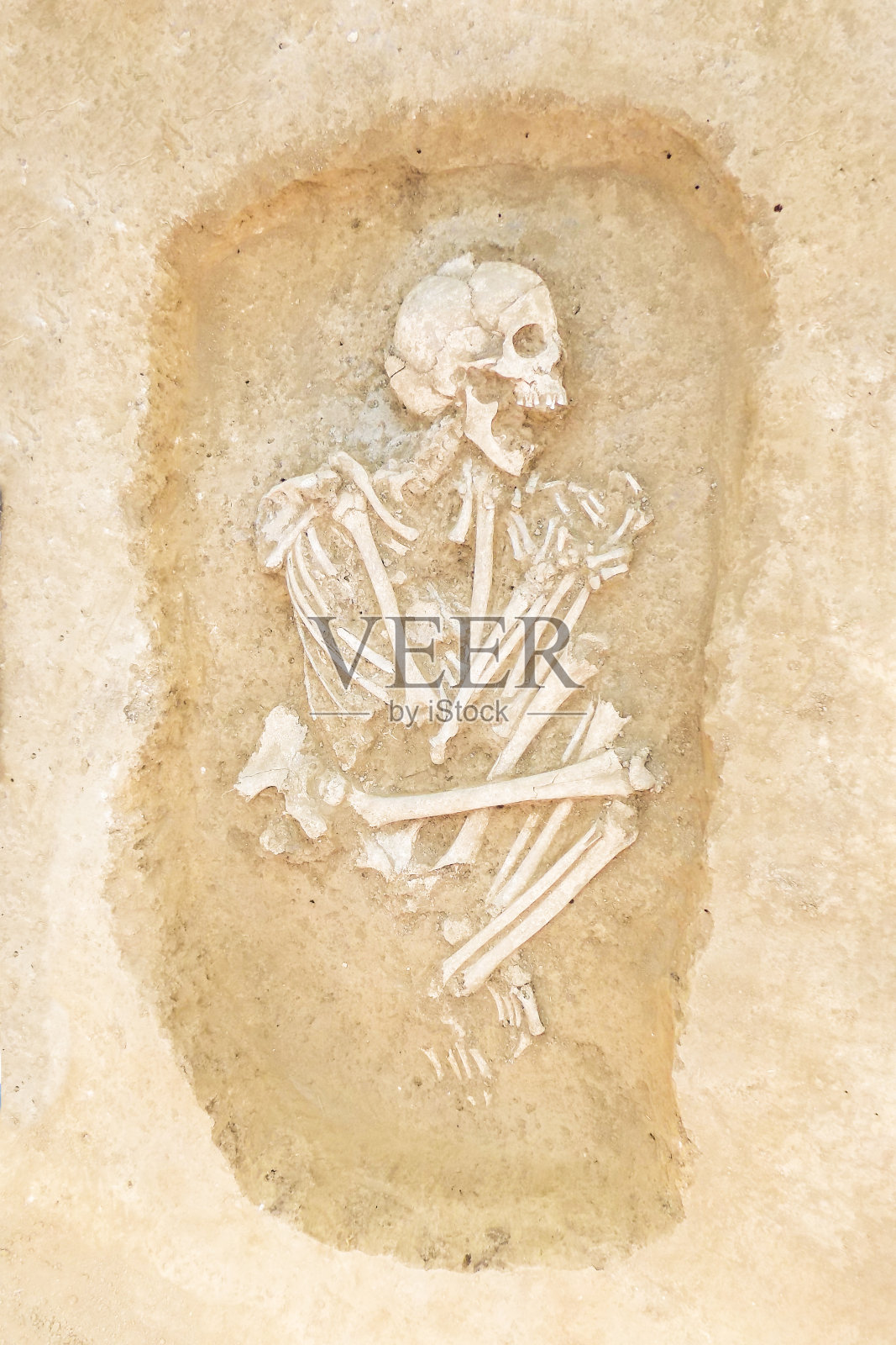 考古学家发掘并发现了人(一具埋在人骨中的骸骨)，对古代细节的研究，史前。照片摄影图片