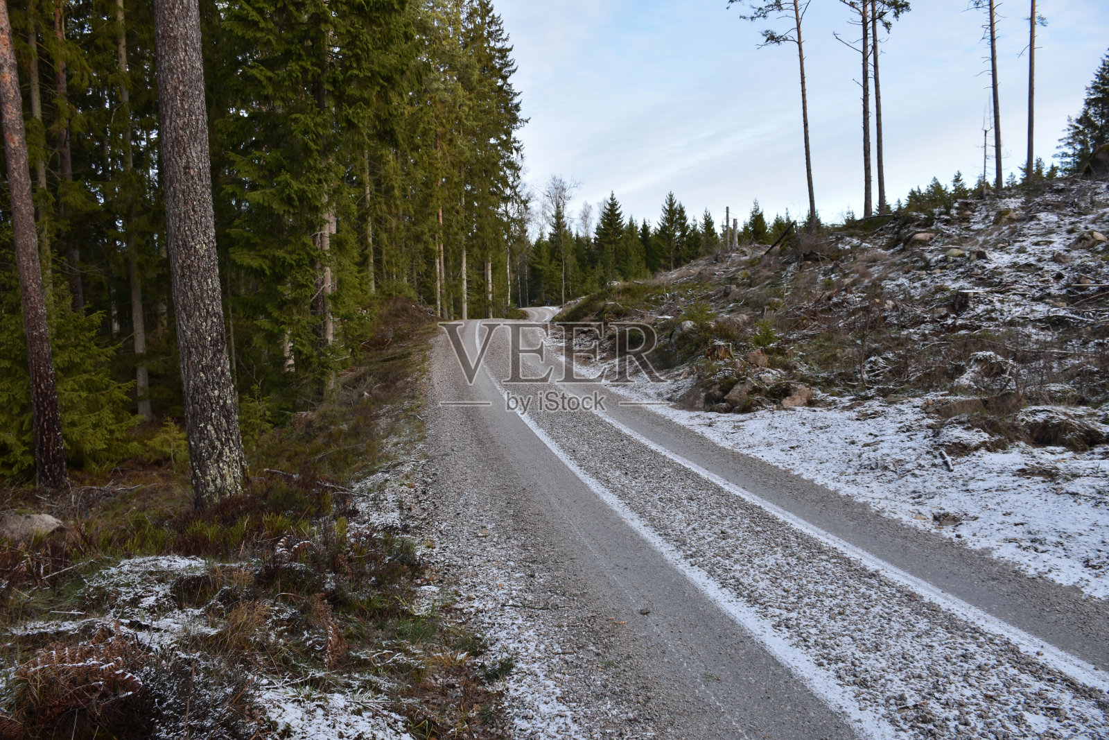 蜿蜒的石子路穿过树林照片摄影图片
